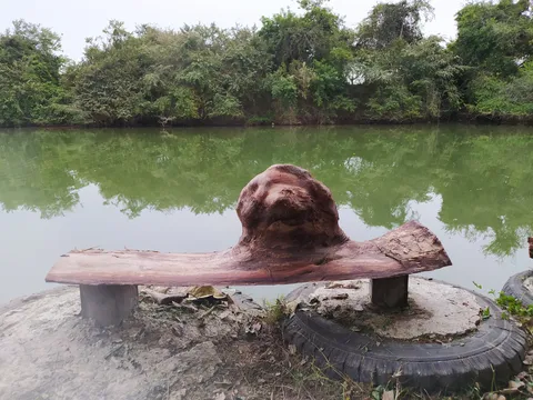 Bendita image 2