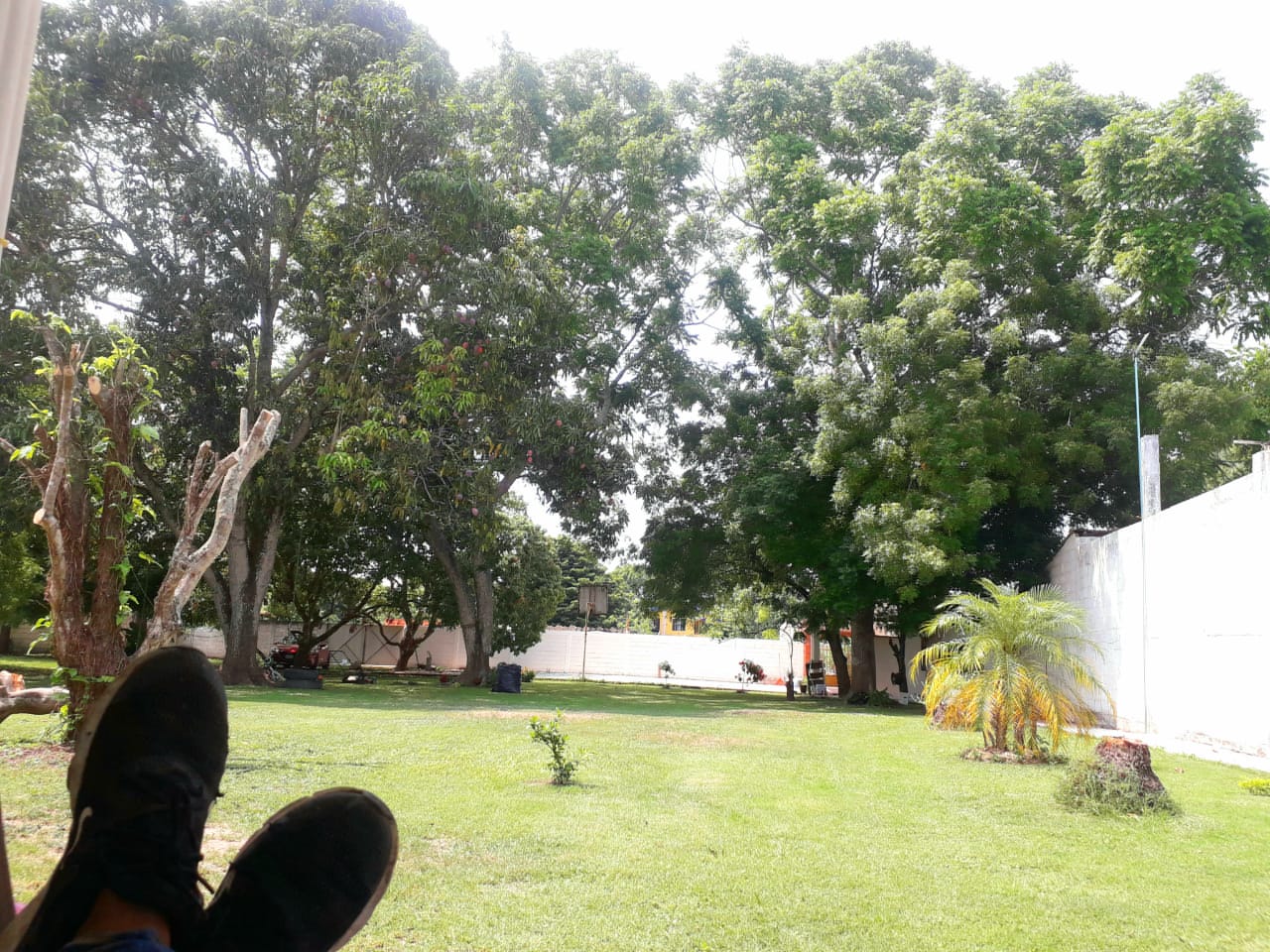 Bendita image 3