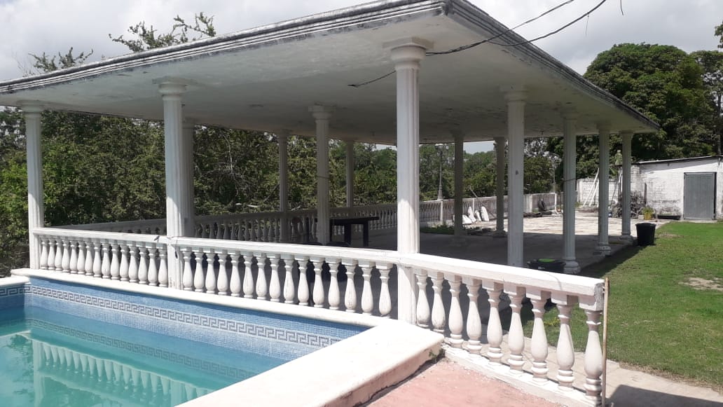 Bendita image 6
