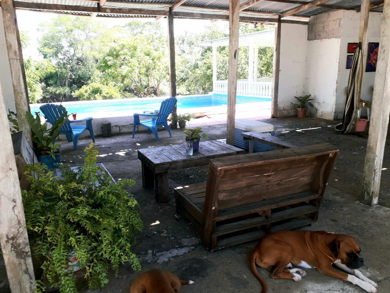 Bendita image 8