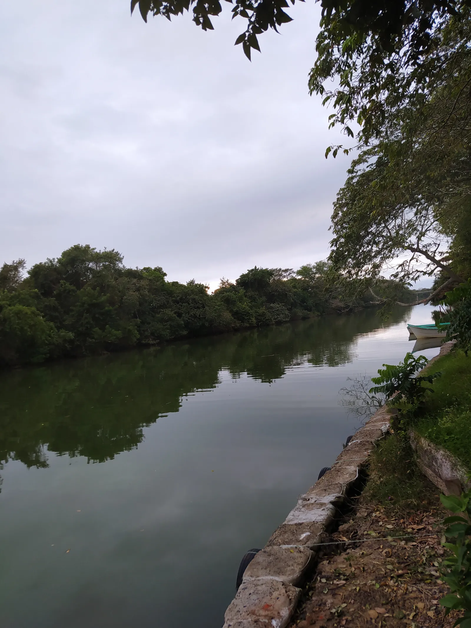 Bendita image 9