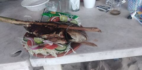 Palapa Los Delfines image 1