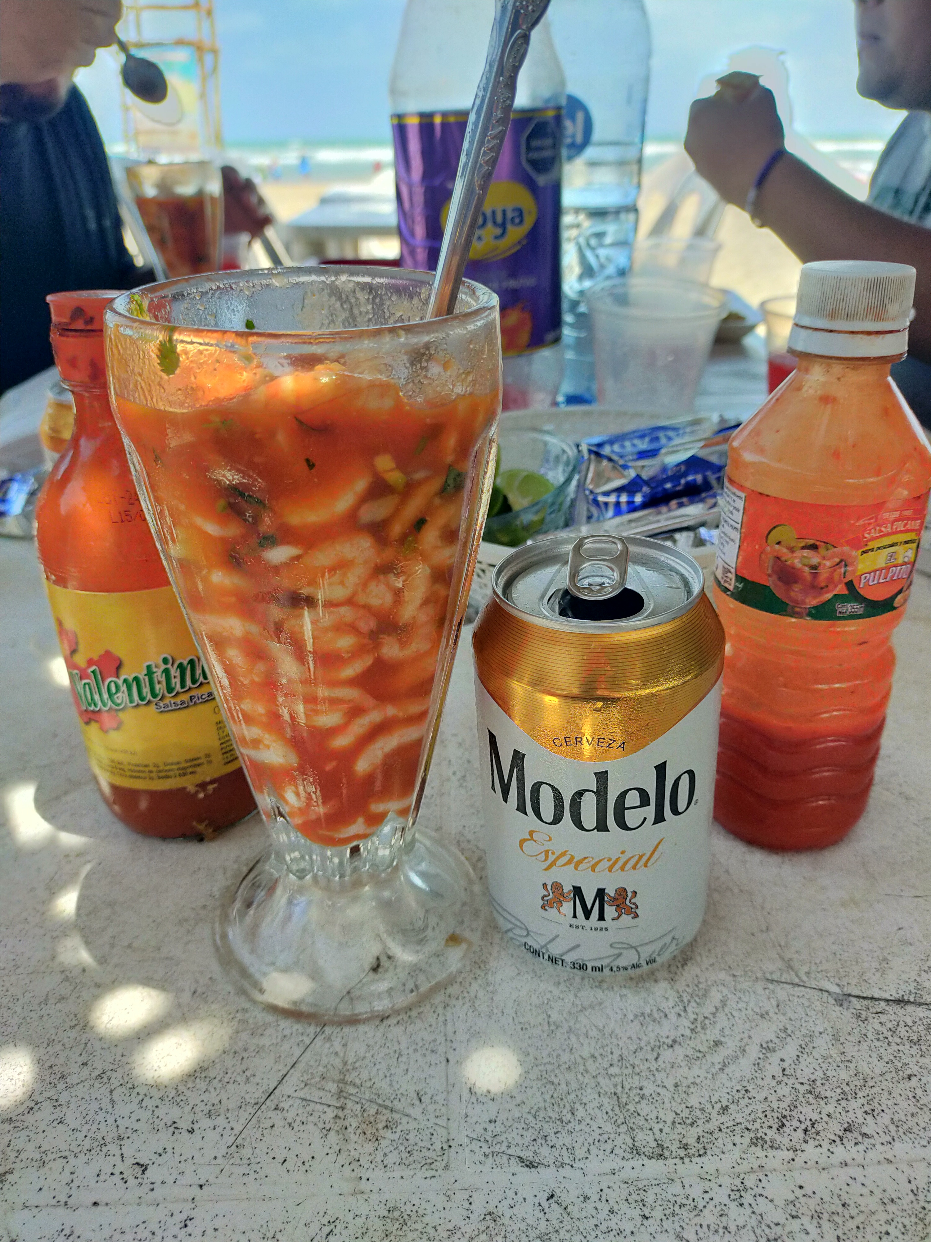 Palapa Los Delfines image 3