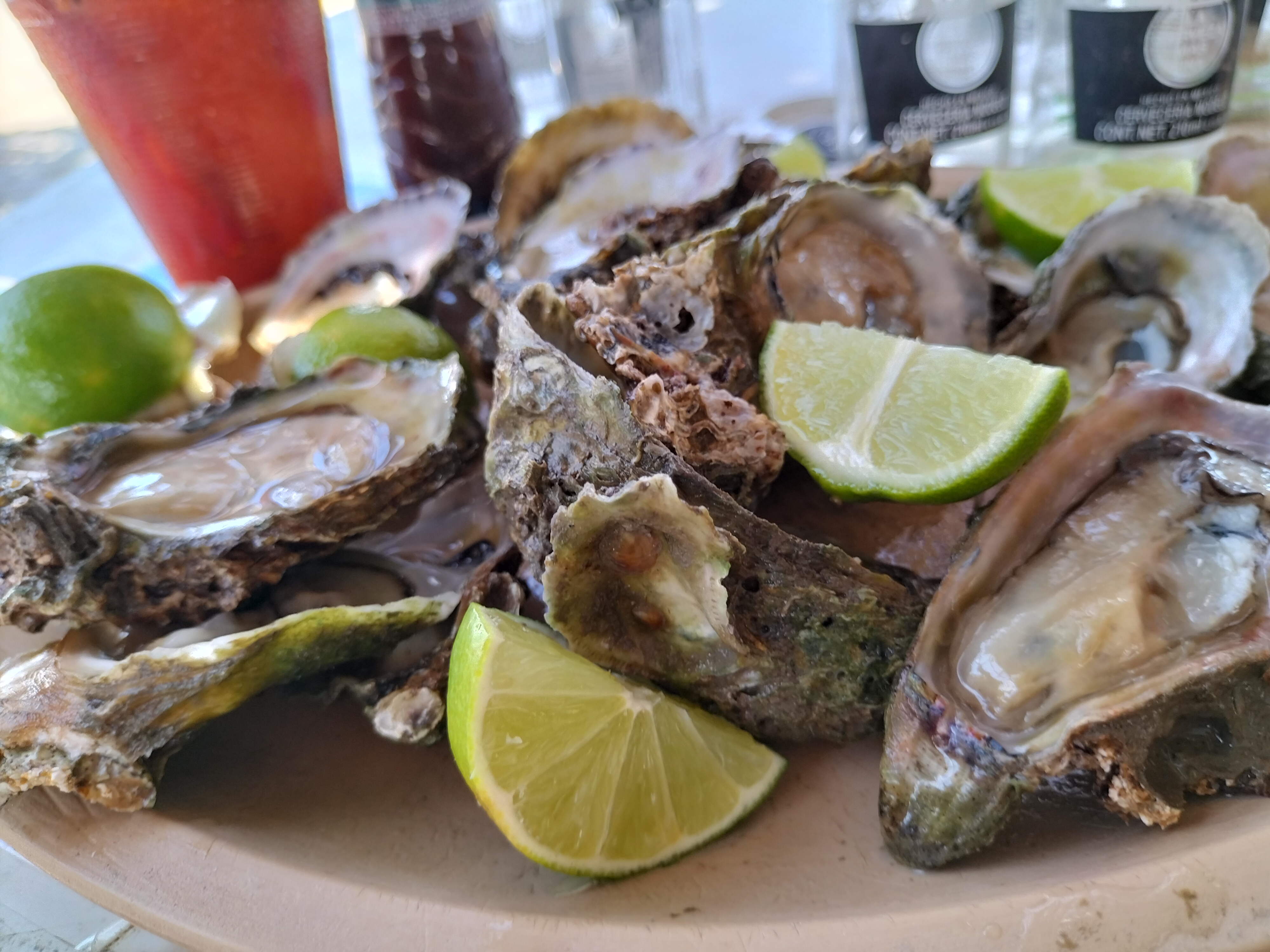 Palapa Los Delfines image 8