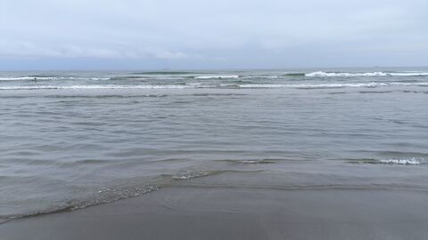 Mar de Plata image 3