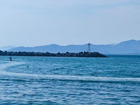 EL TIBURON image 5