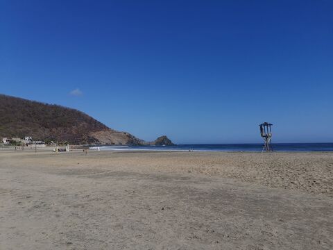 Mariscos El Delfin image 2