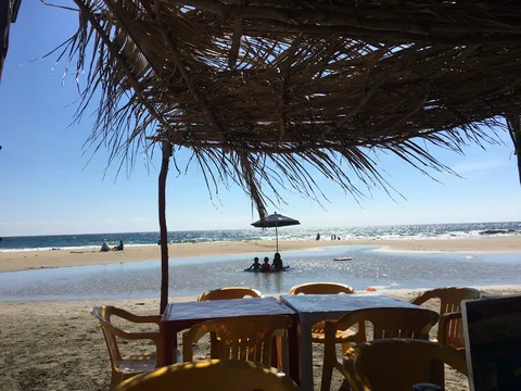 Mariscos El Delfin image 3