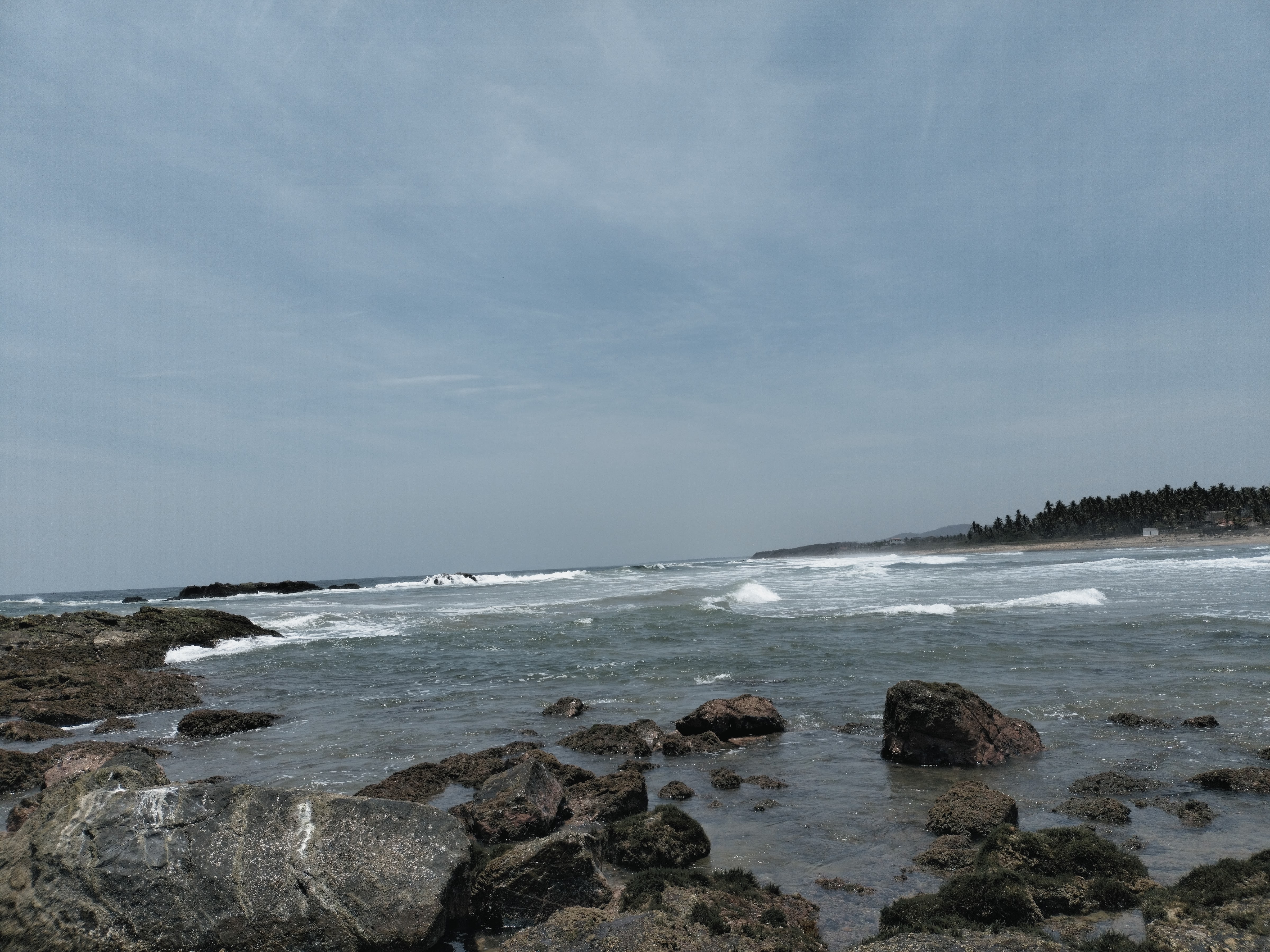 Restaurant ALEXA image 8