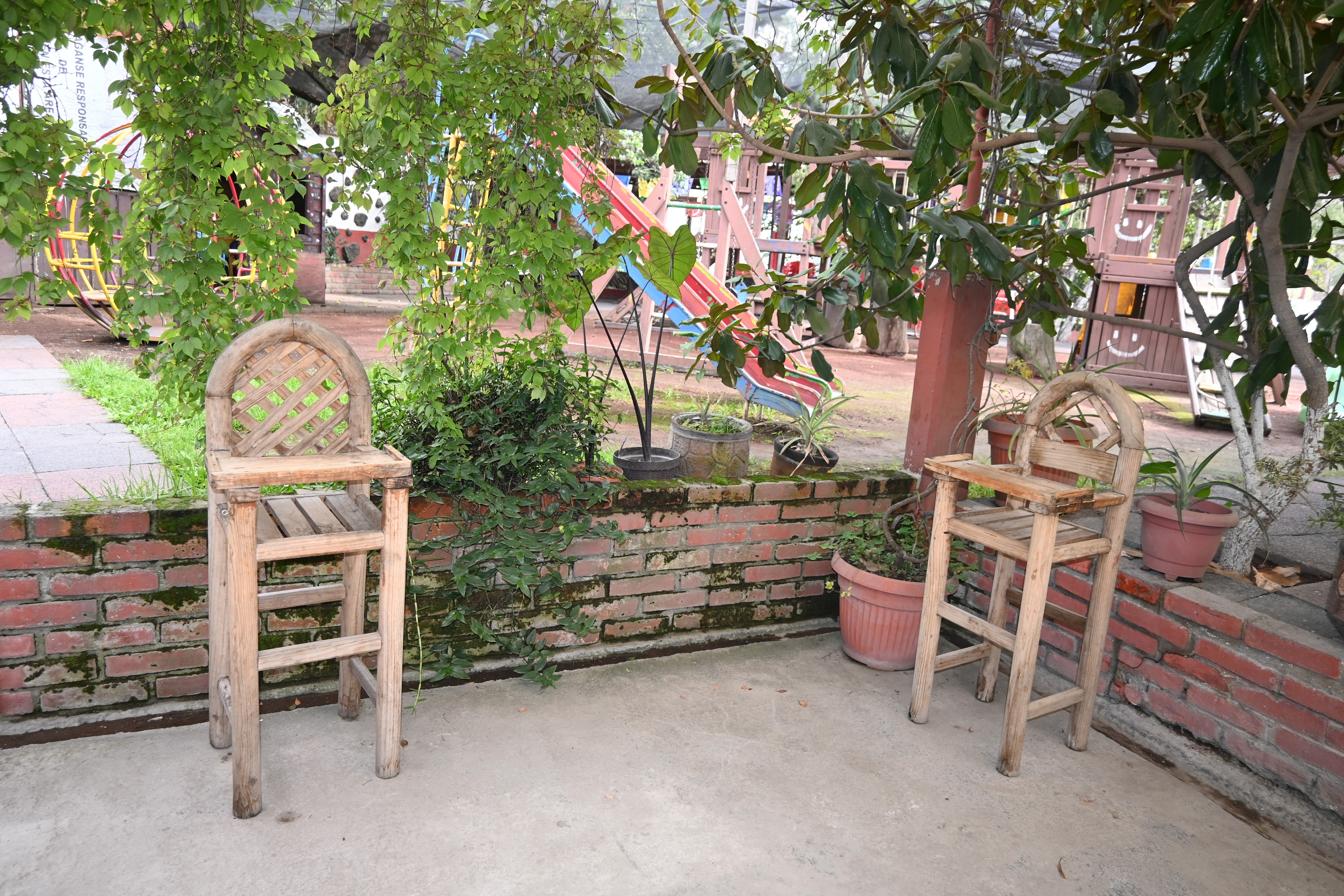 La Selva de Don Alberto image 1