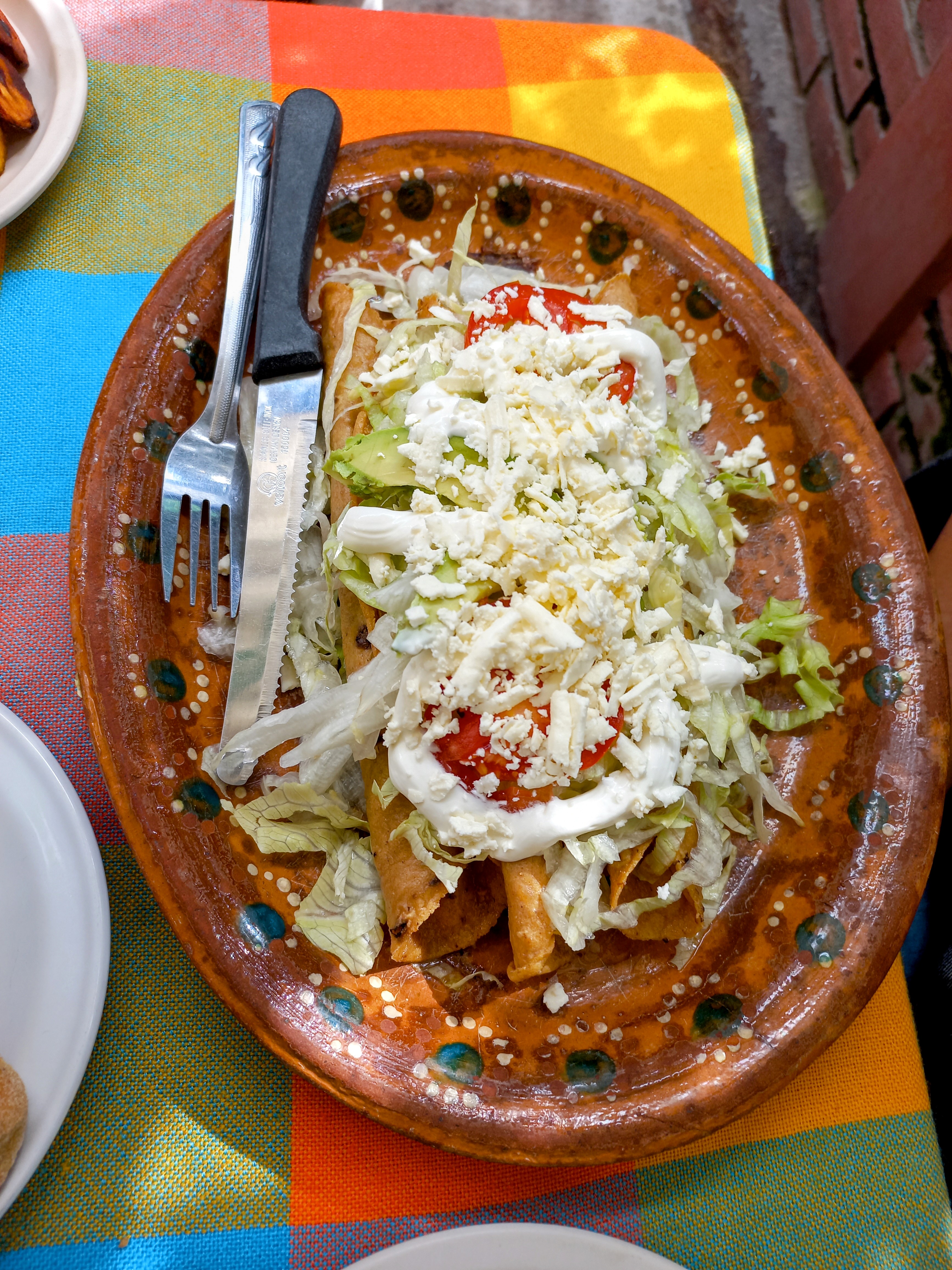 La Selva de Don Alberto image 2