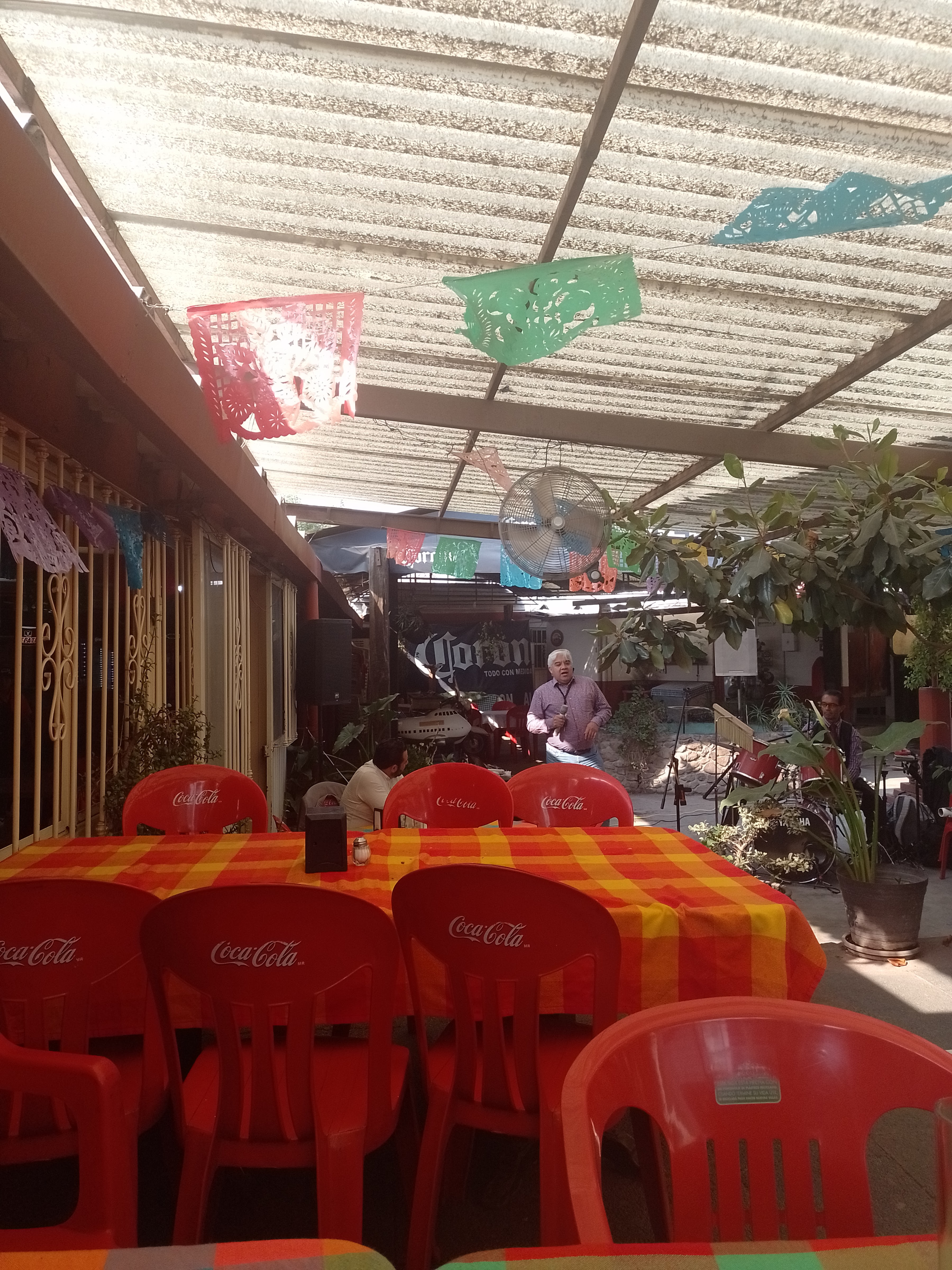 La Selva de Don Alberto image 3