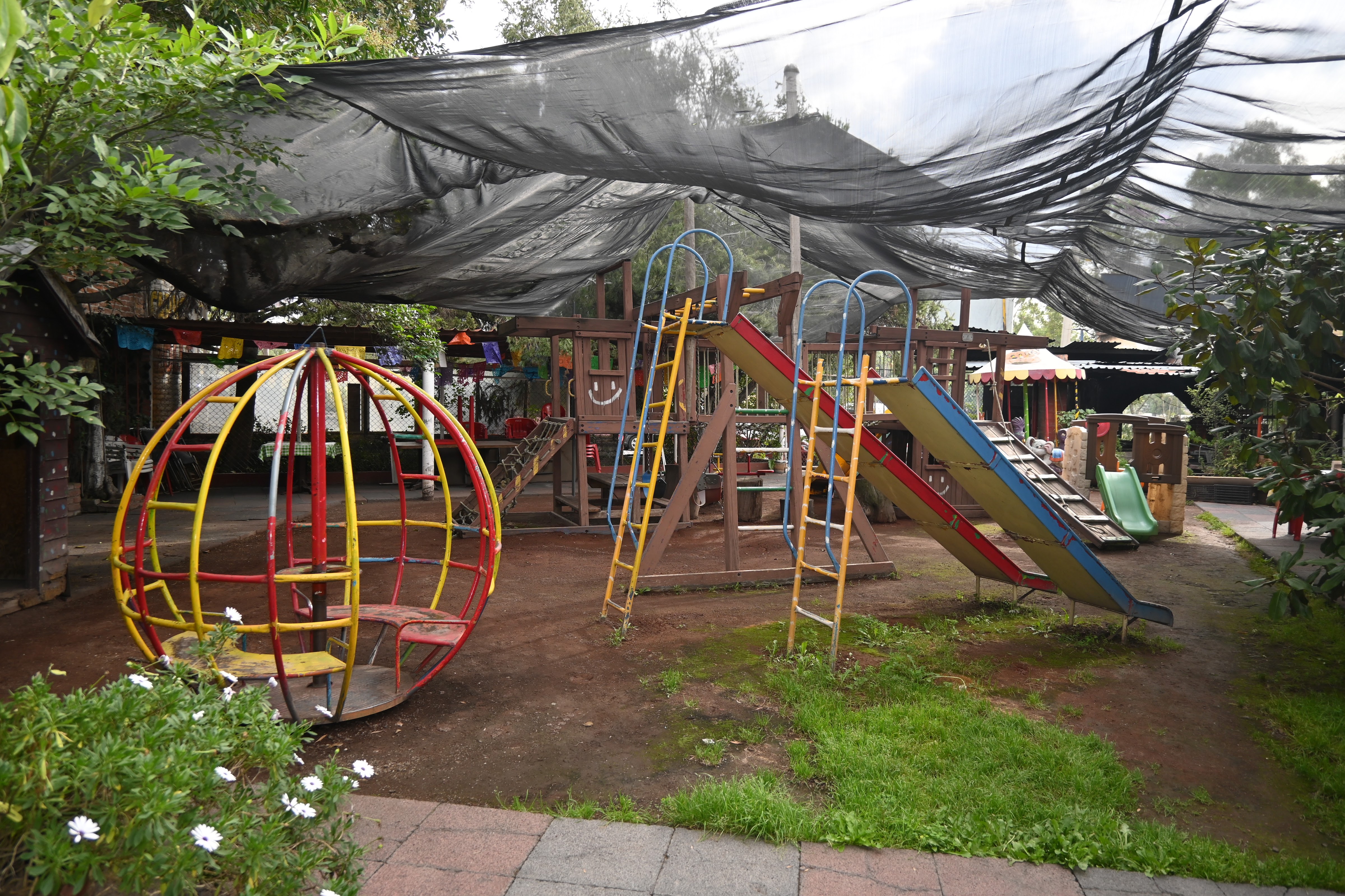 La Selva de Don Alberto image 4