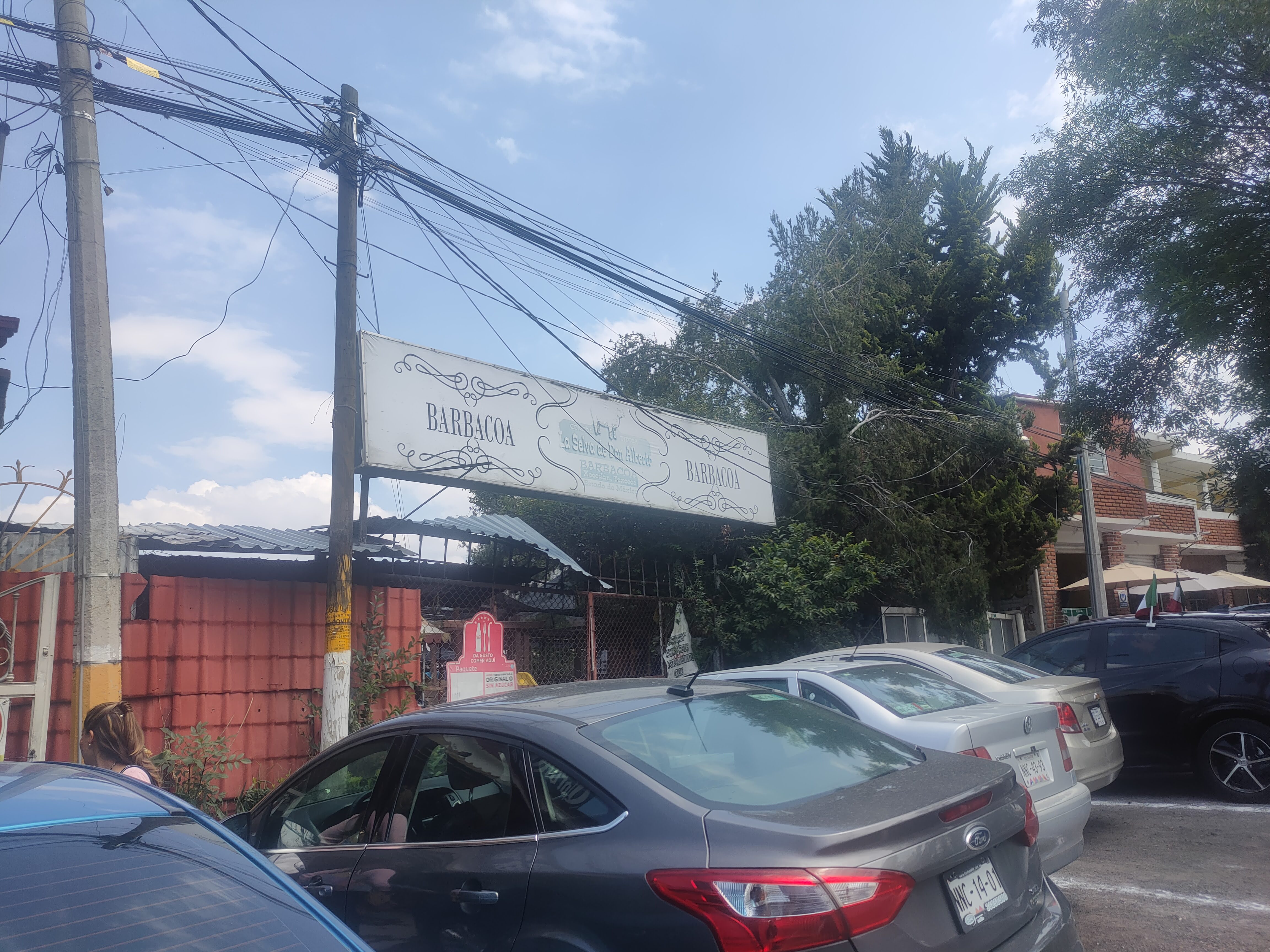 La Selva de Don Alberto image 9