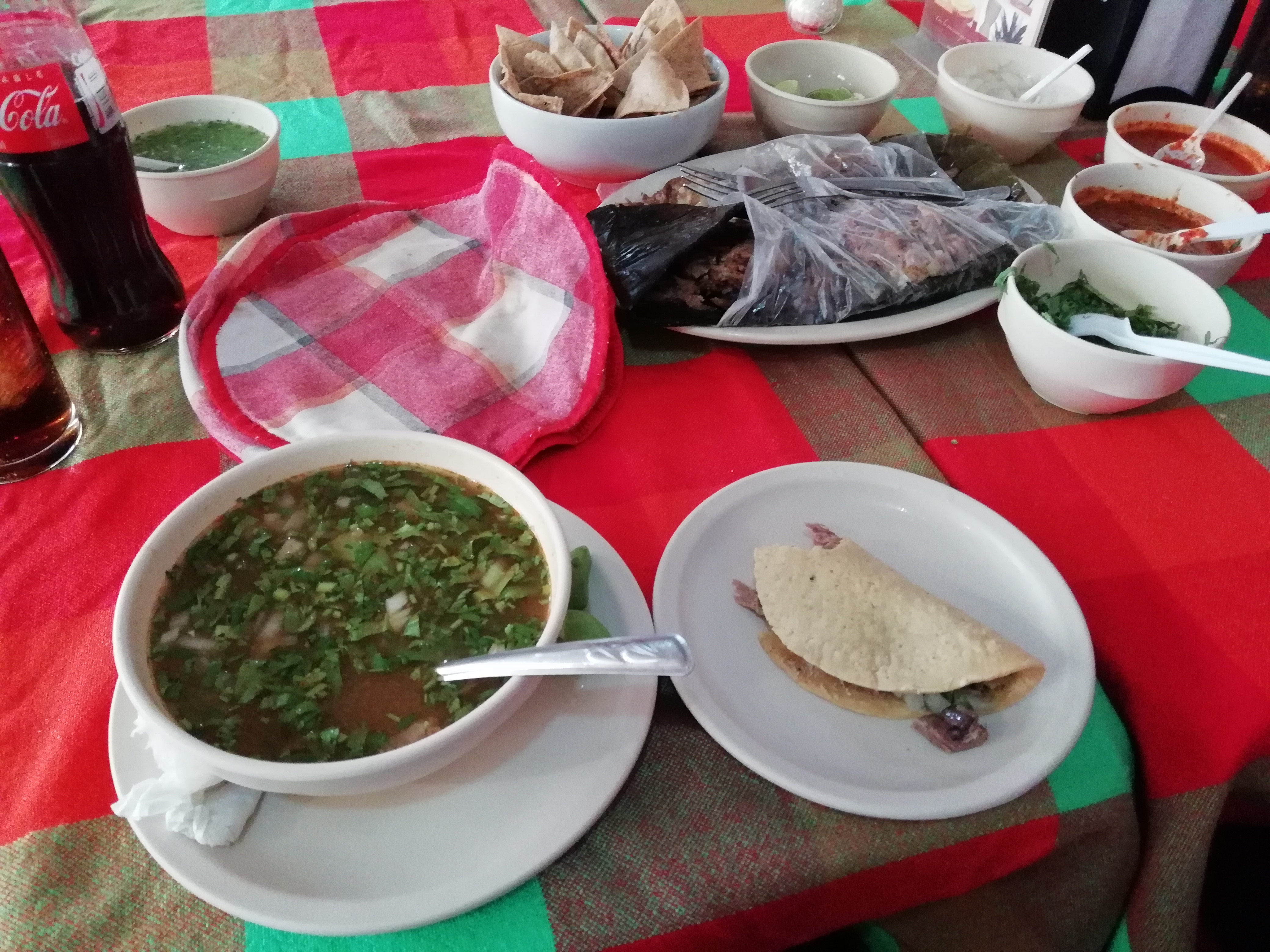 La Selva de Don Alberto image 10