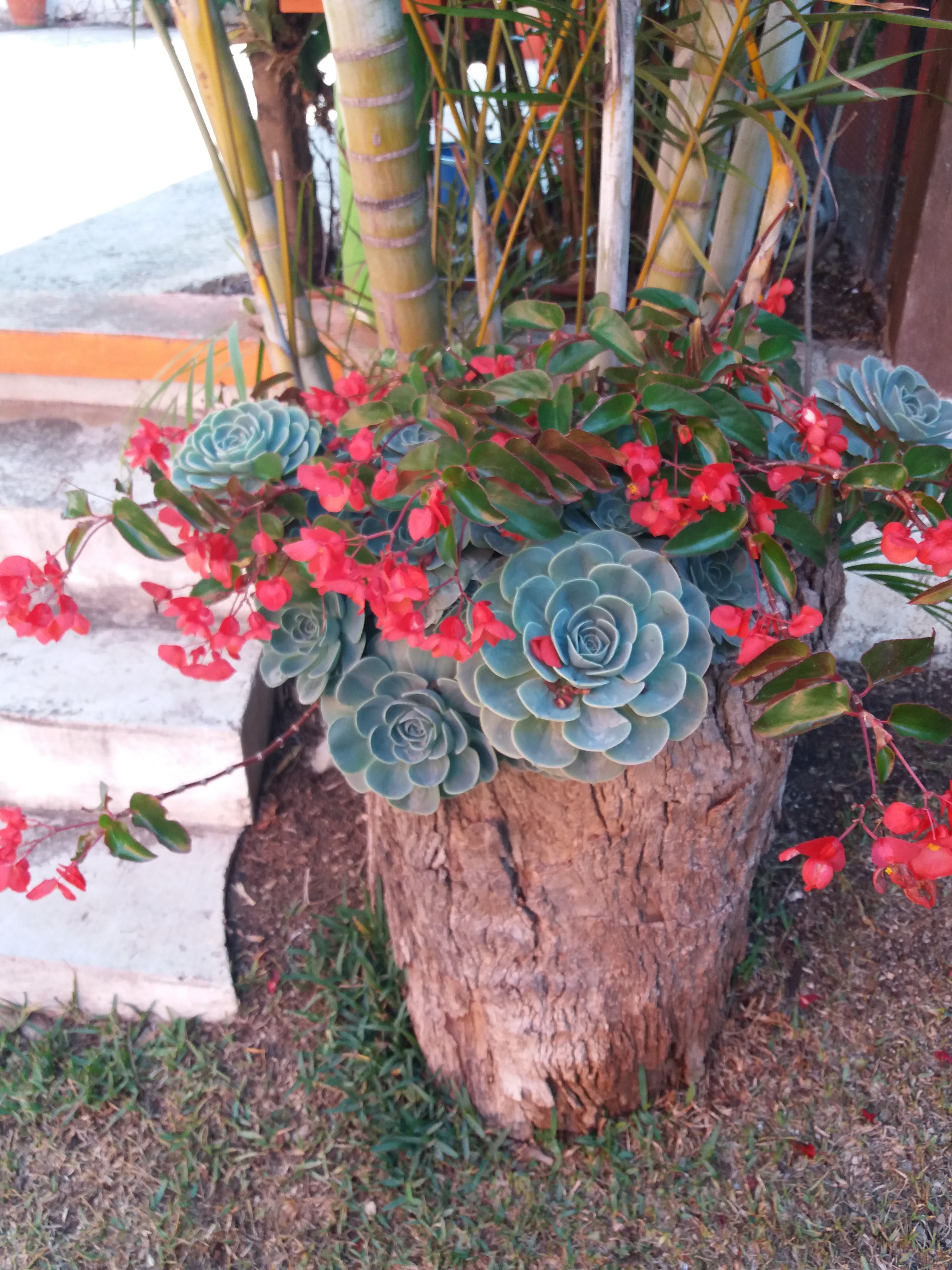 Restaurante Los Caramelos image 6