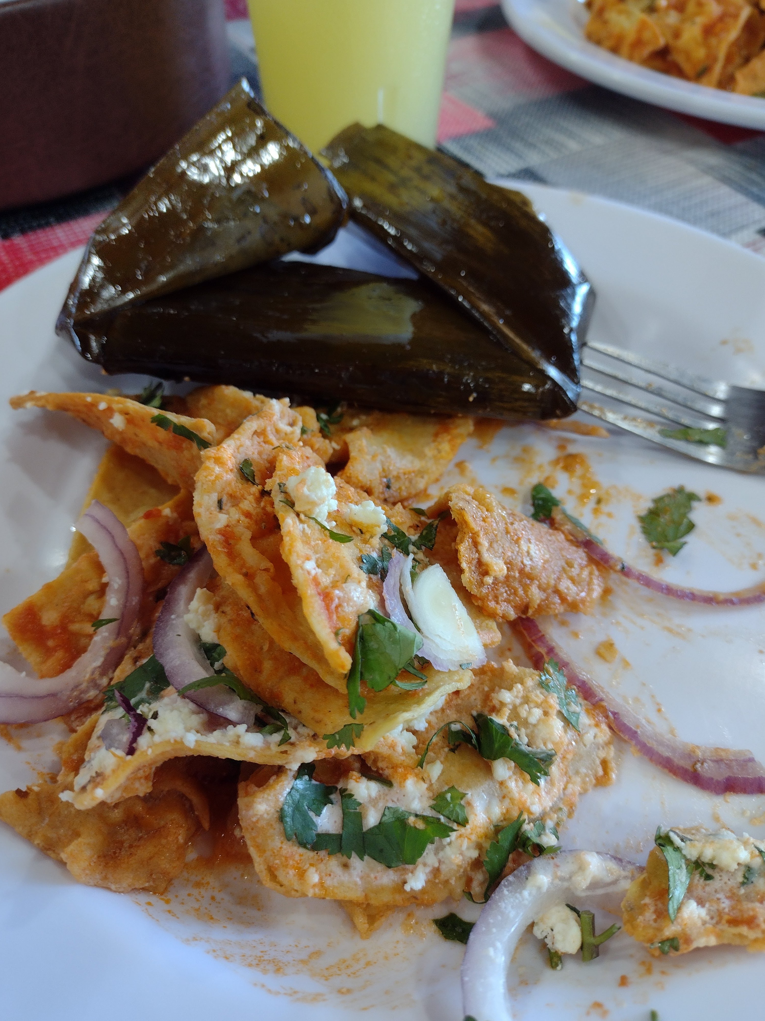 Mar y Tierra image 9