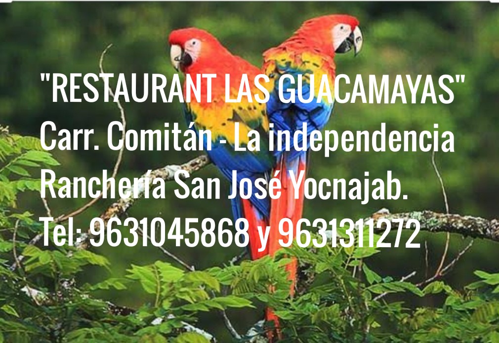 Restaurant Las Guacamayas image 7