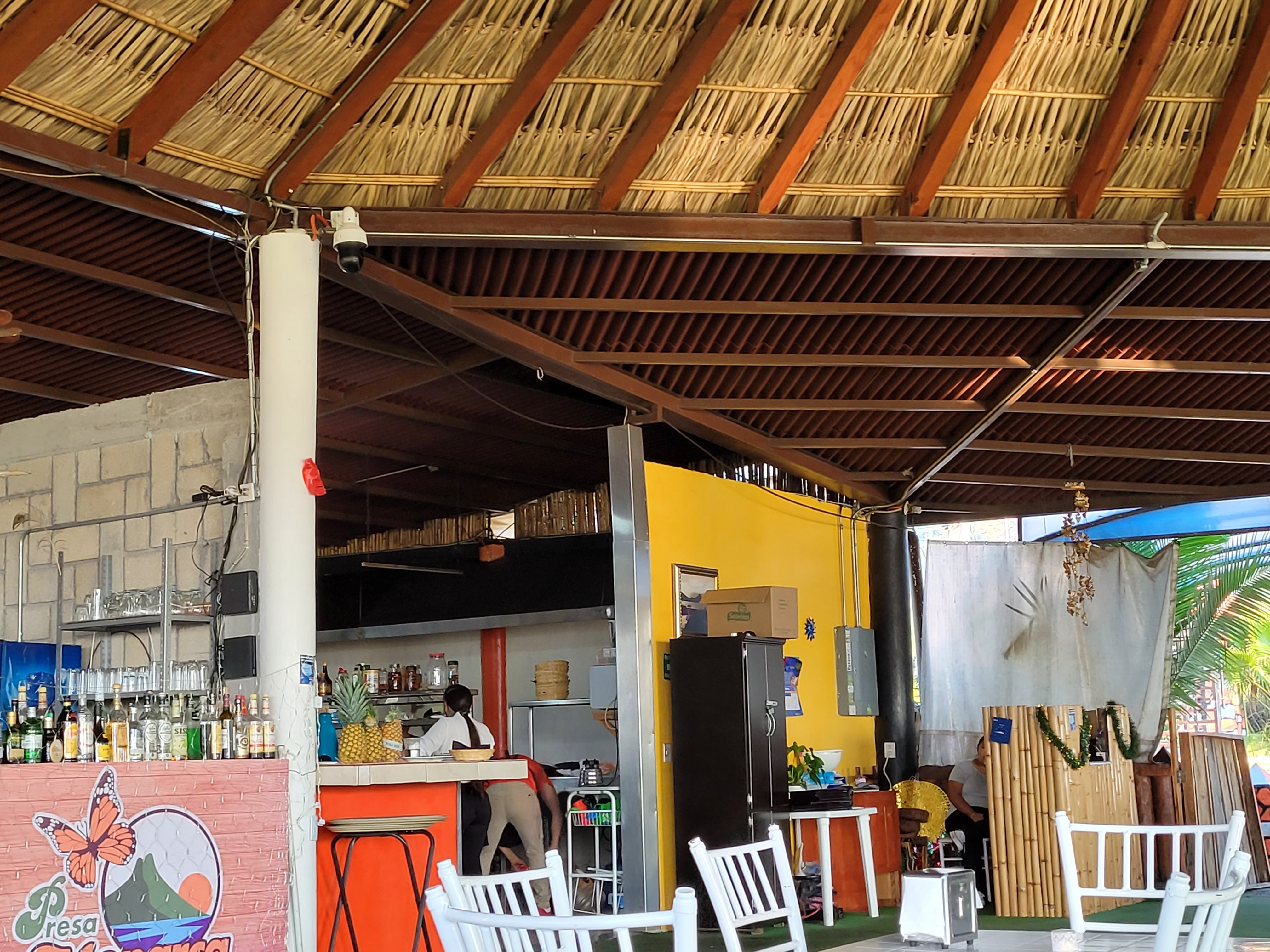 Presa Monarca image 1