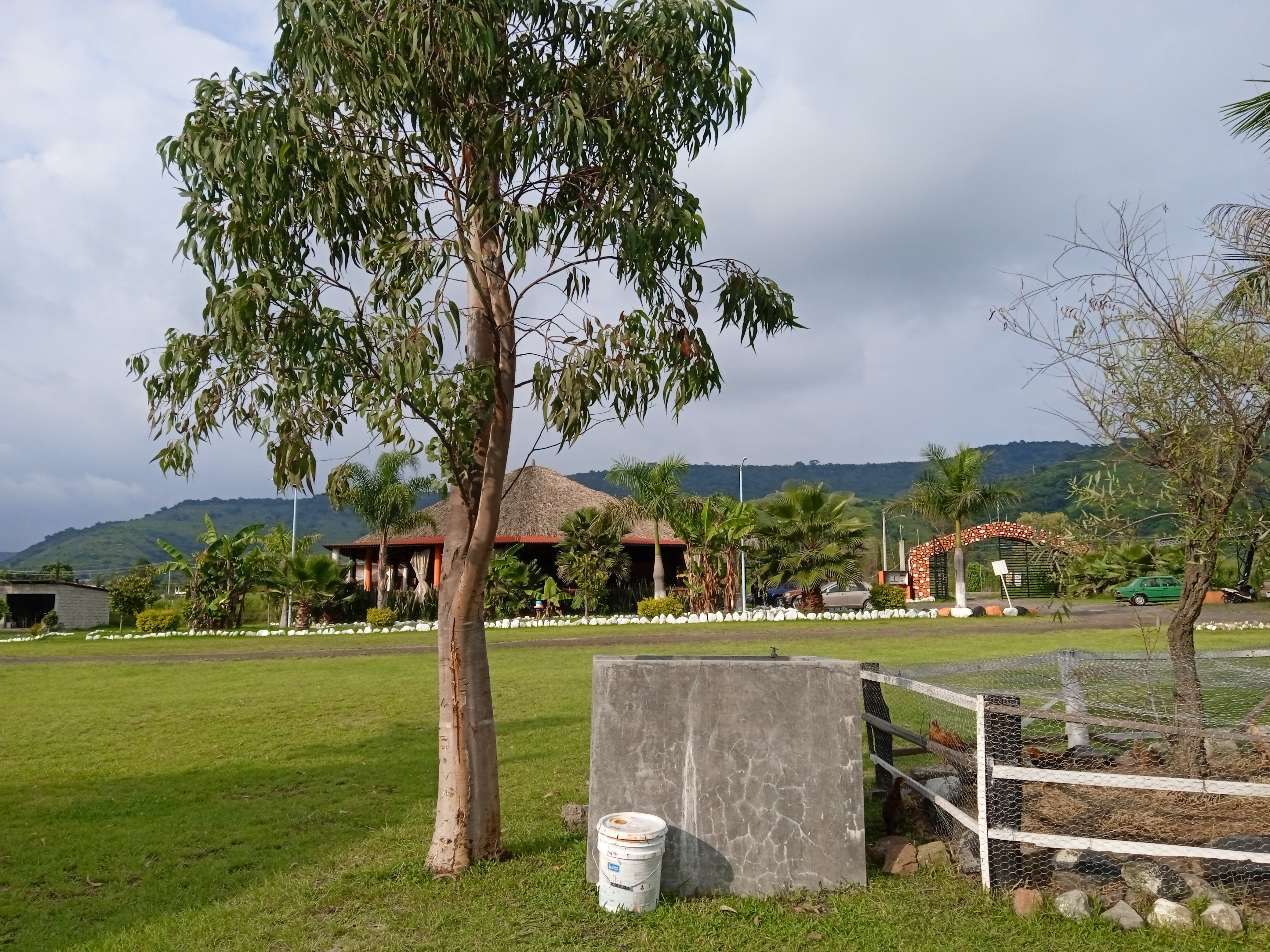 Presa Monarca image 4