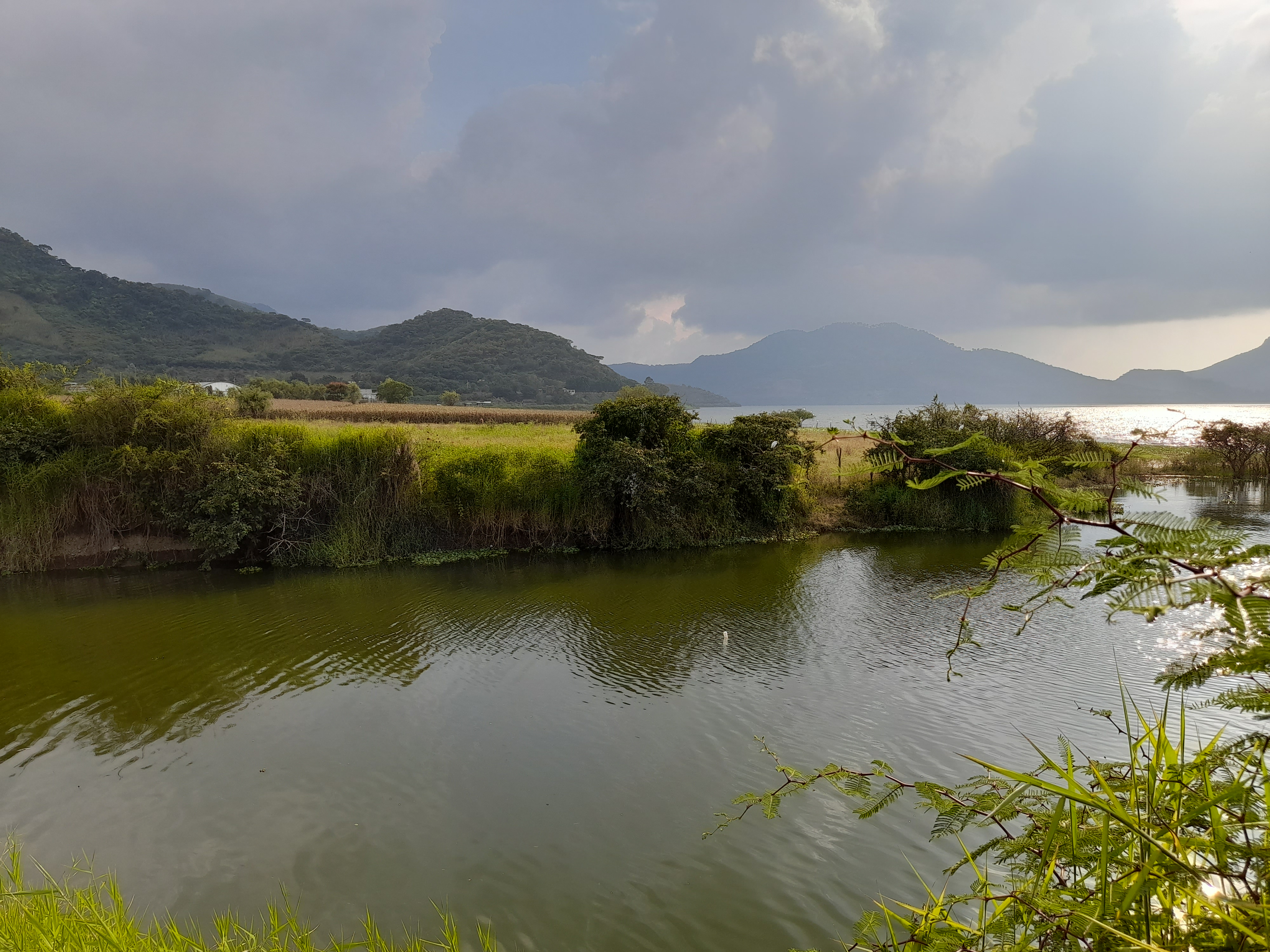 Presa Monarca image 5