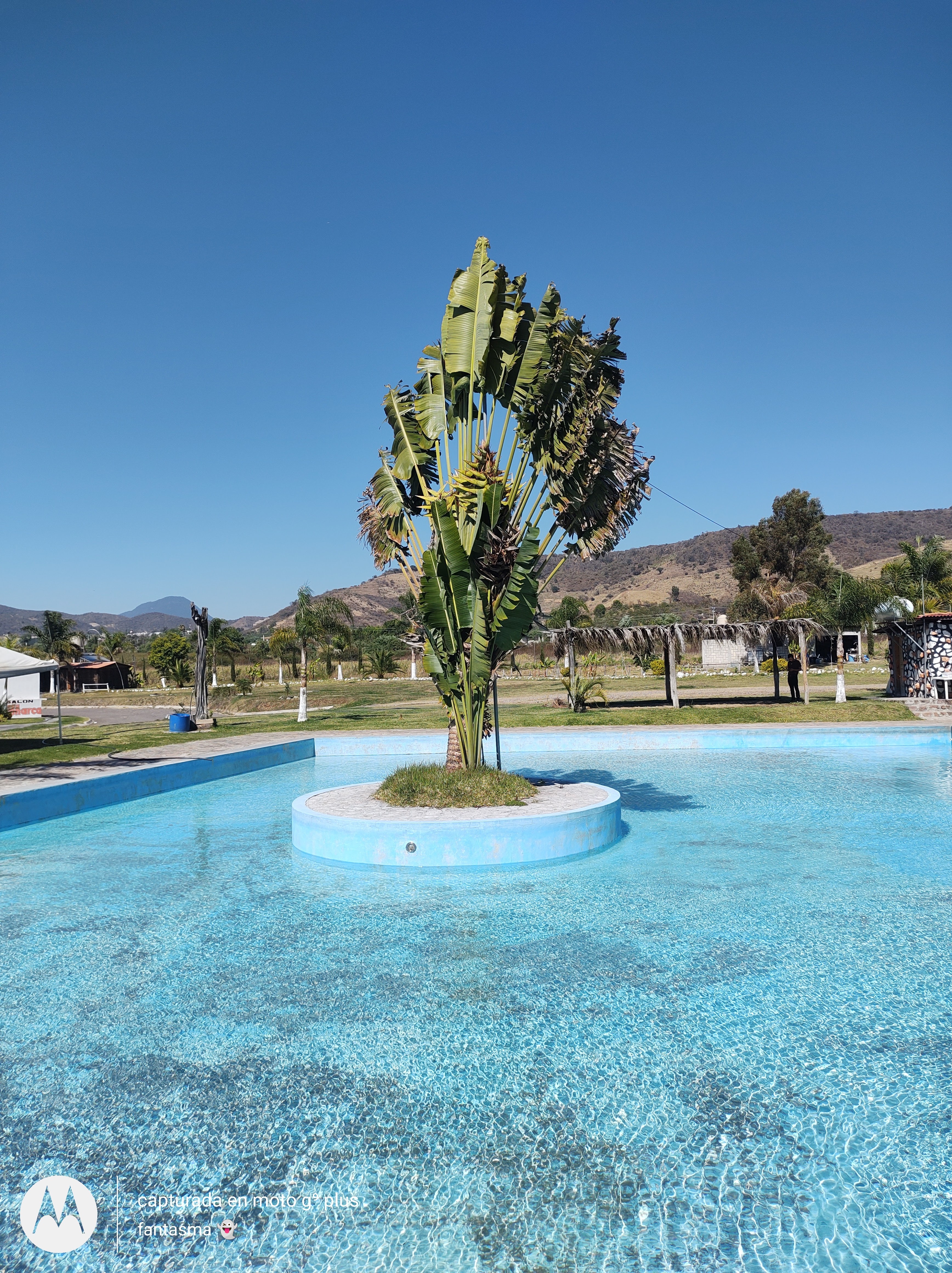 Presa Monarca image 6