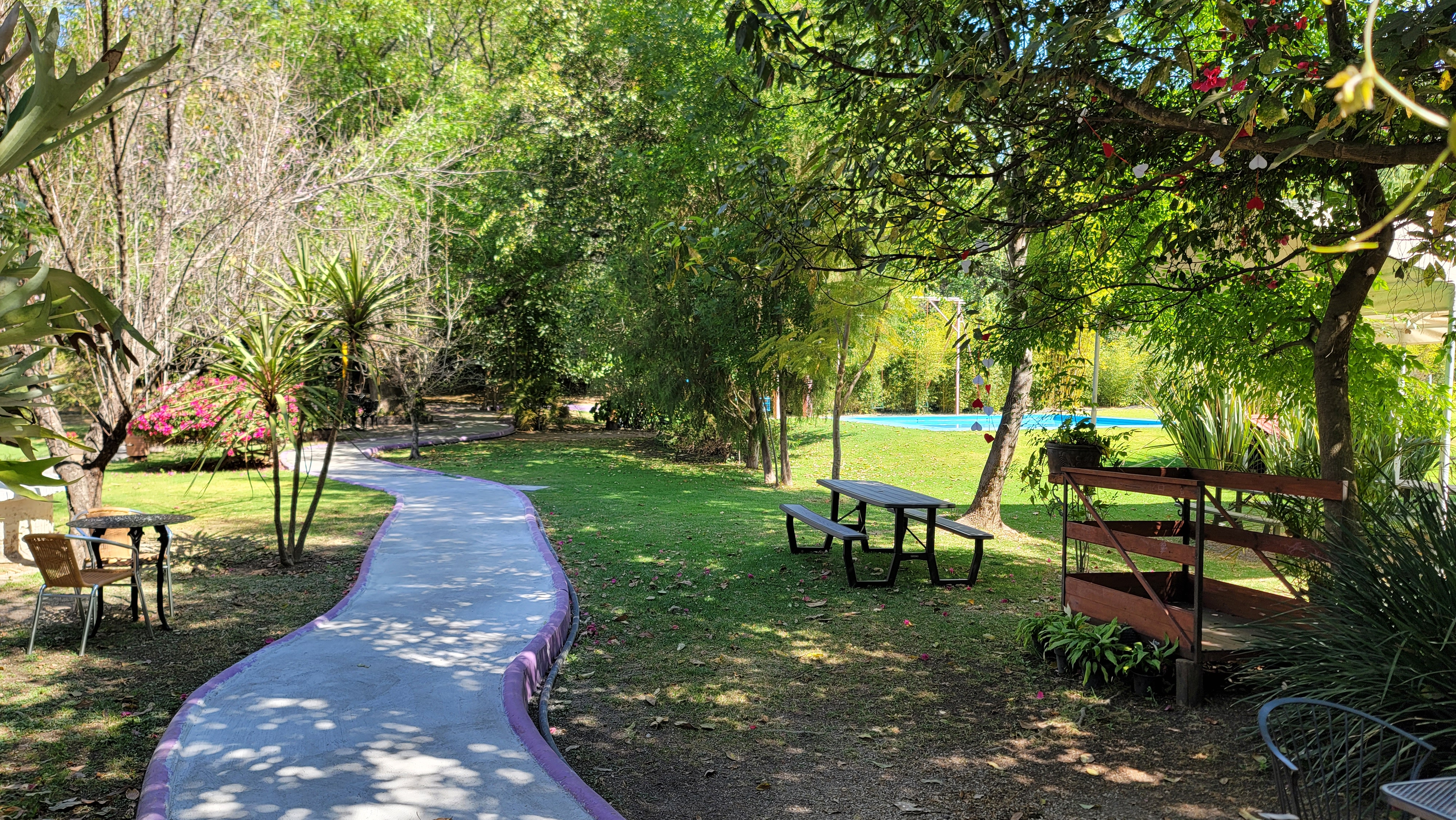 Restaurante El Tasajo image 5