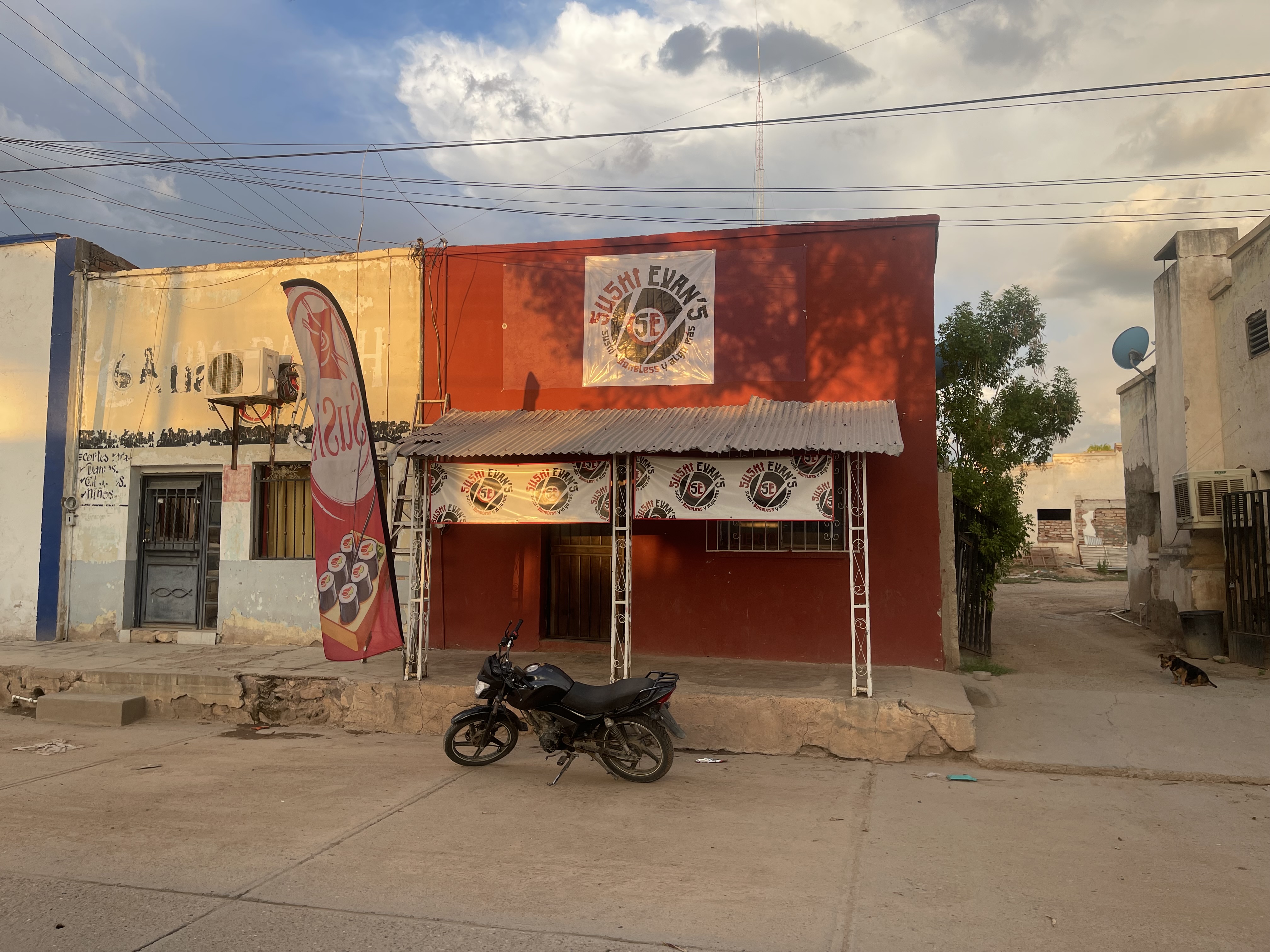 Sushi Evan´s image 1