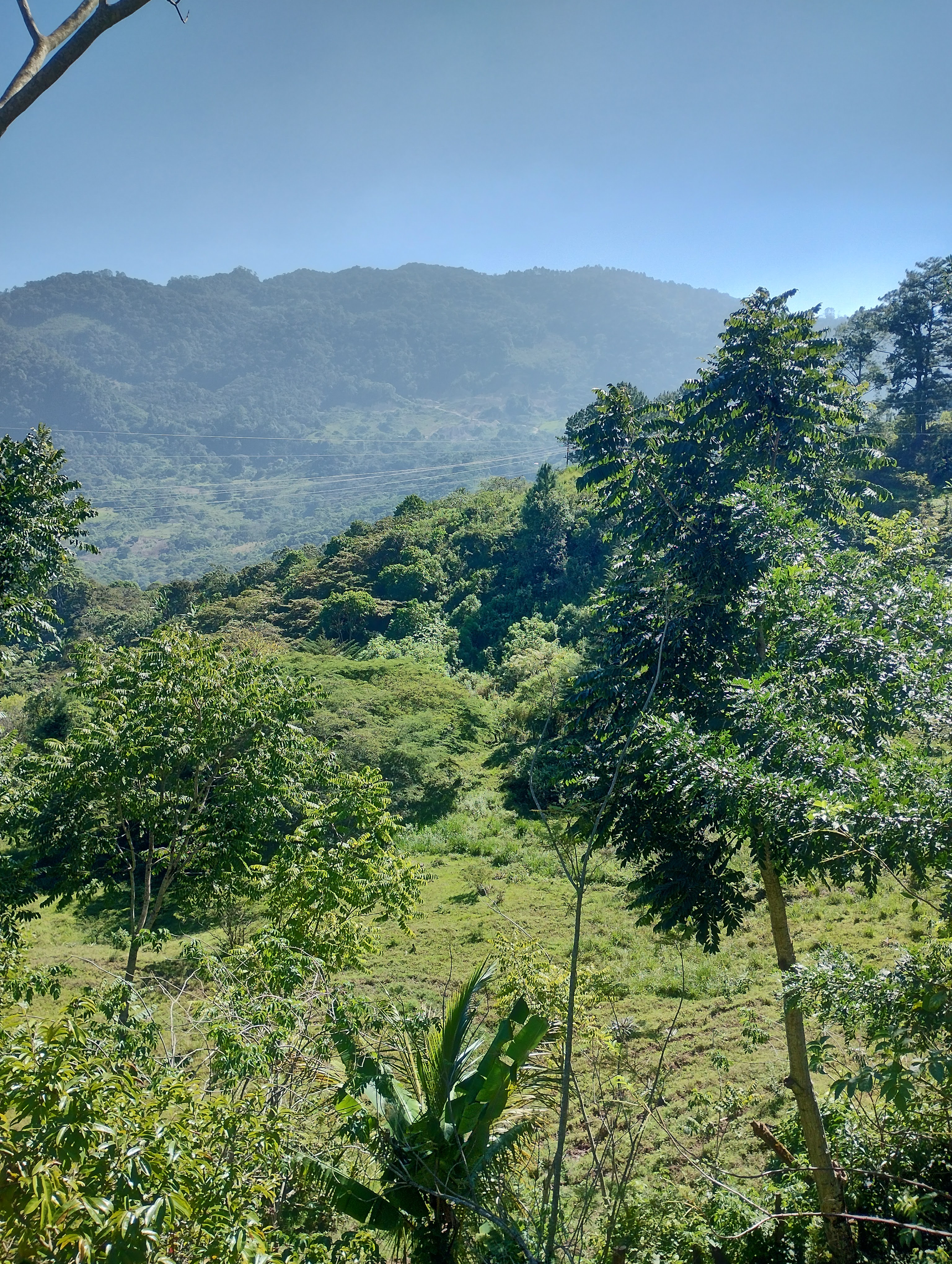 RESTAURANTE MAYA MIRADOR image 3