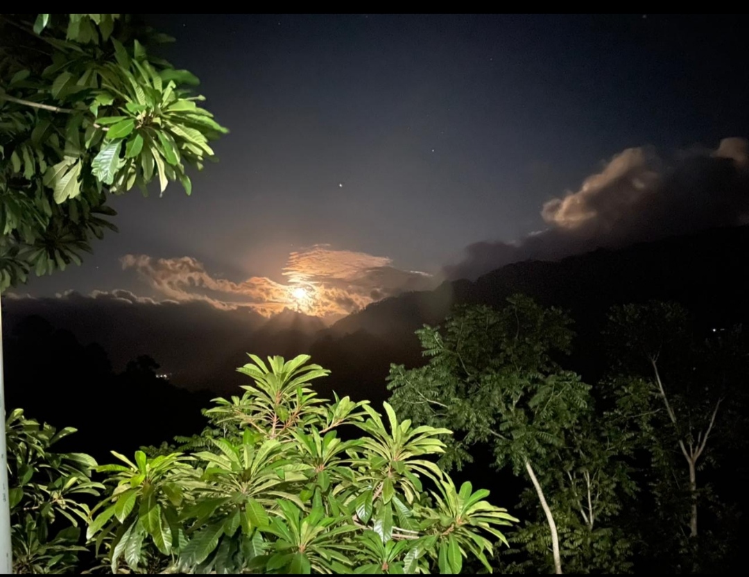 RESTAURANTE MAYA MIRADOR image 8