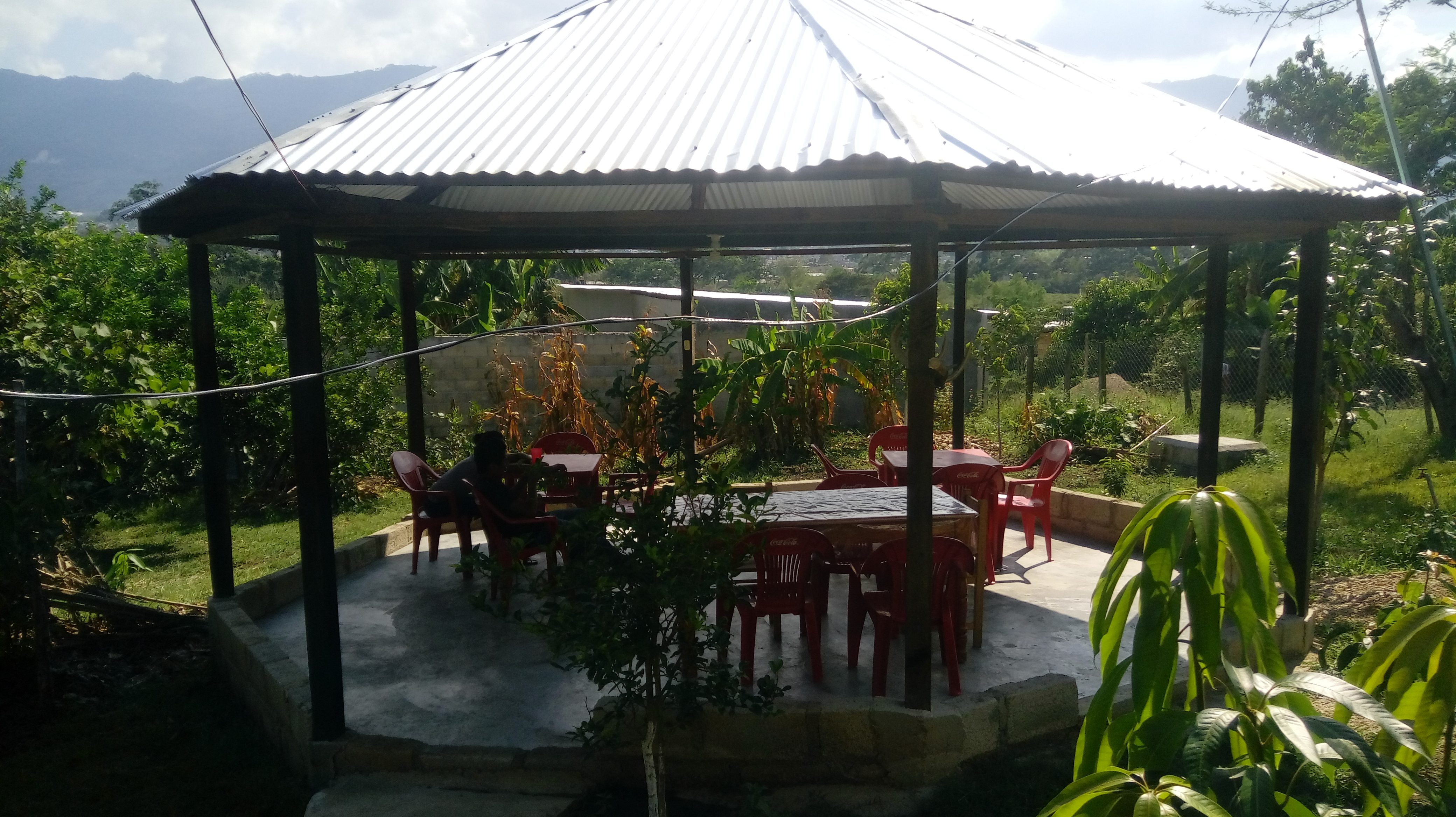 El Hongo Restaurante image 1