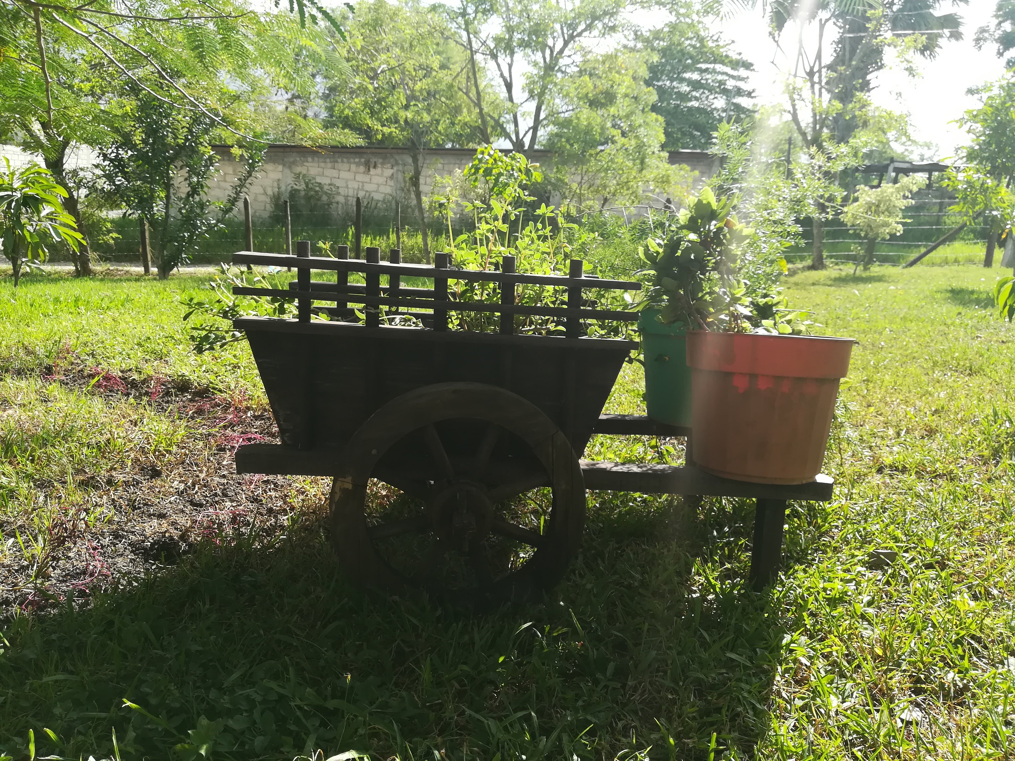Restaurant Campestre Ambar image 5