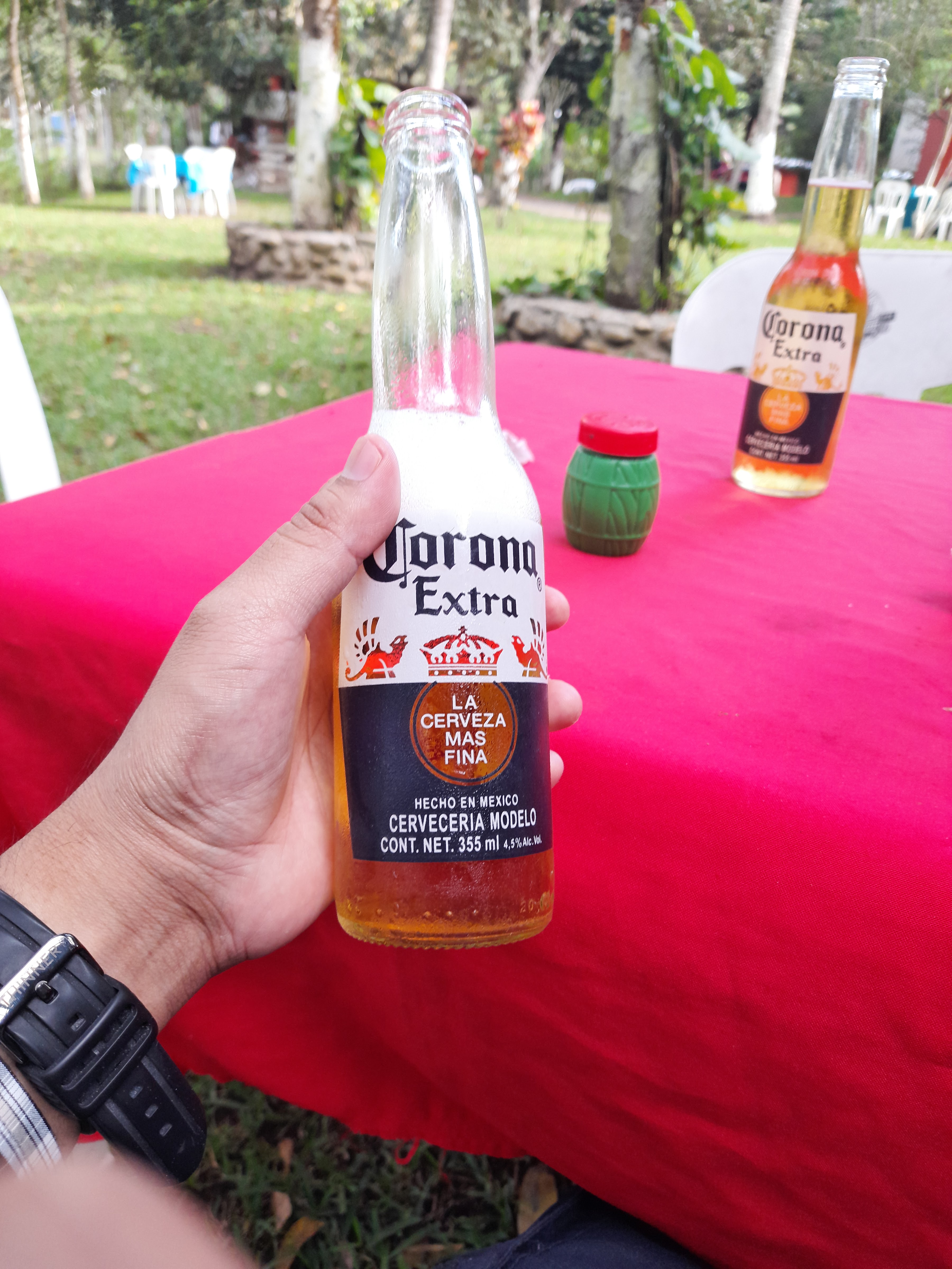 "Restaurante familiar" Asadero y marisquería los dos compadres. image 2