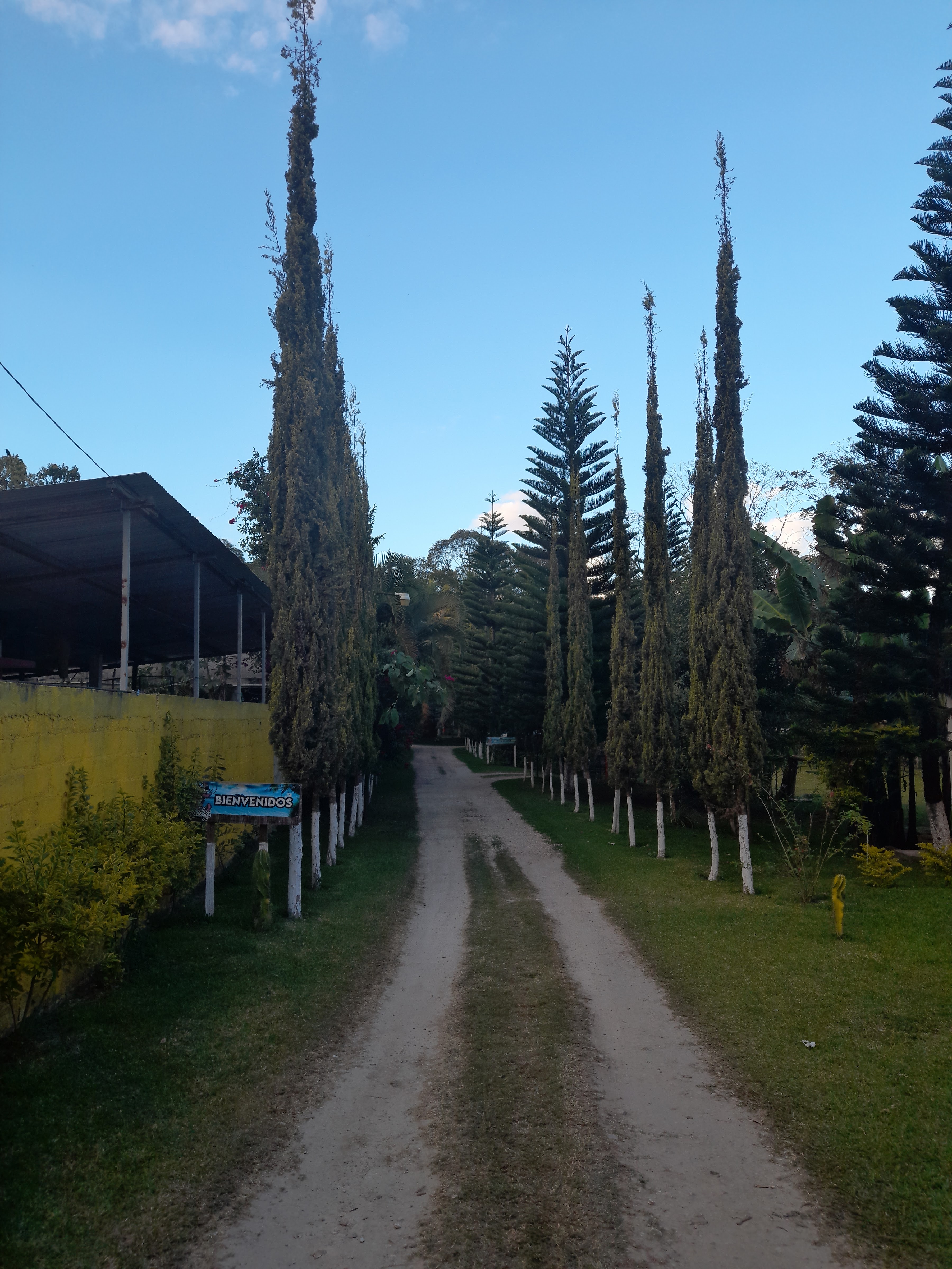 "Restaurante familiar" Asadero y marisquería los dos compadres. image 5