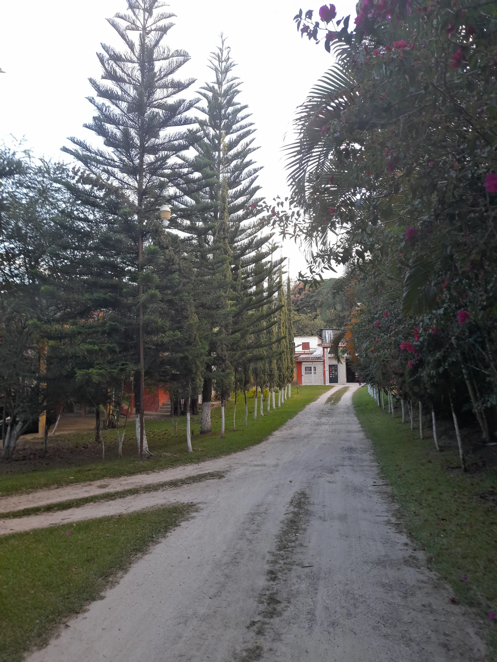 "Restaurante familiar" Asadero y marisquería los dos compadres. image 6