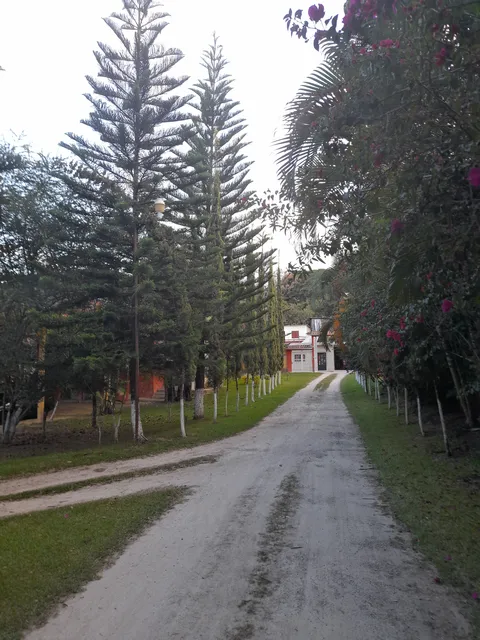 "Restaurante familiar" Asadero y marisquería los dos compadres. image 6