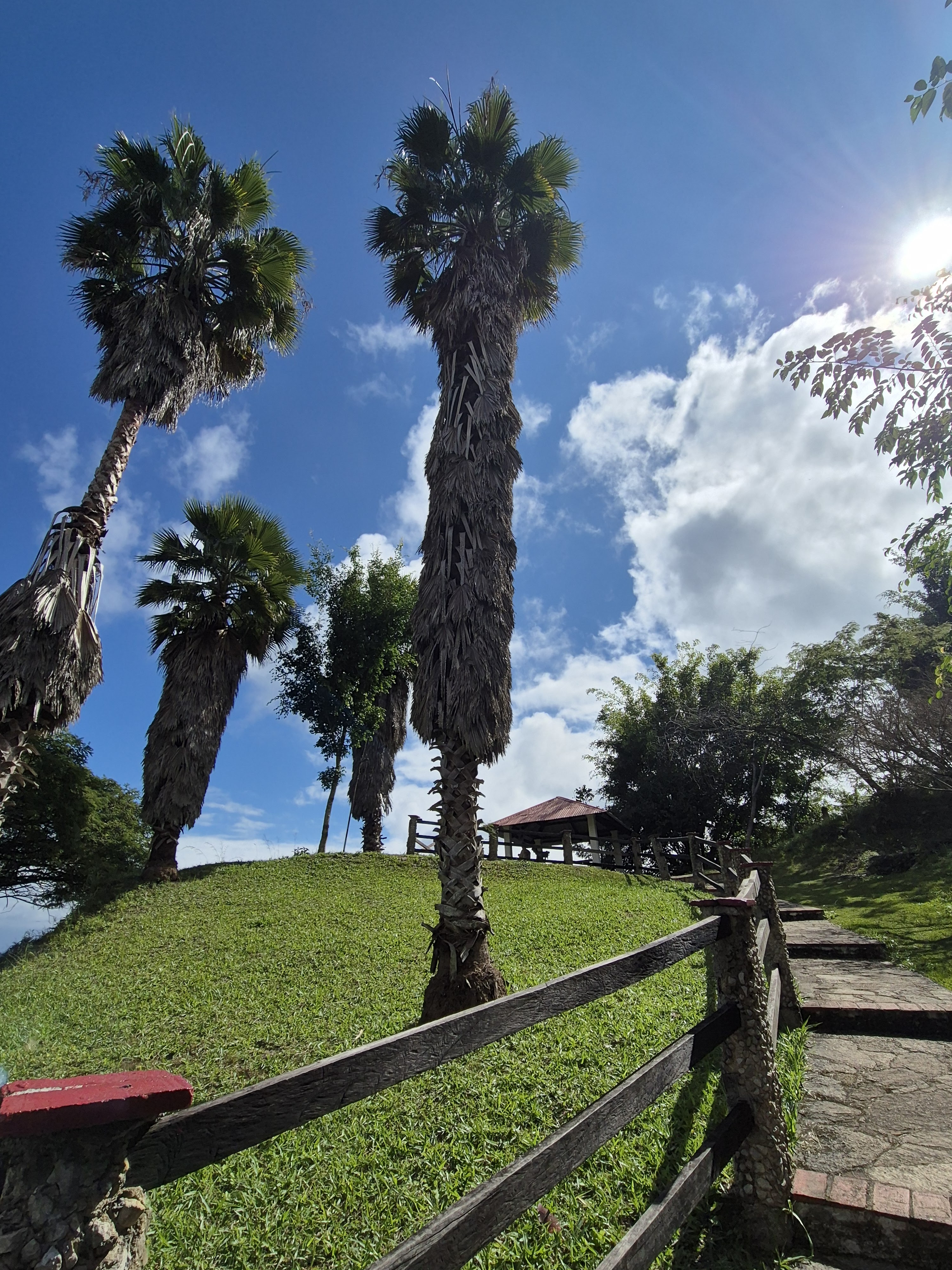 Parador Turístico Selva Maya image 4