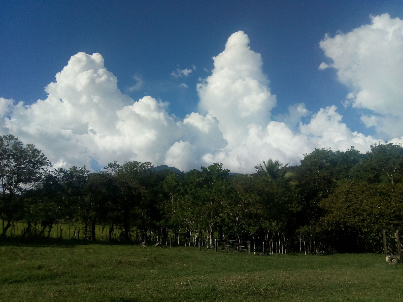 Rancho Bonito image 4