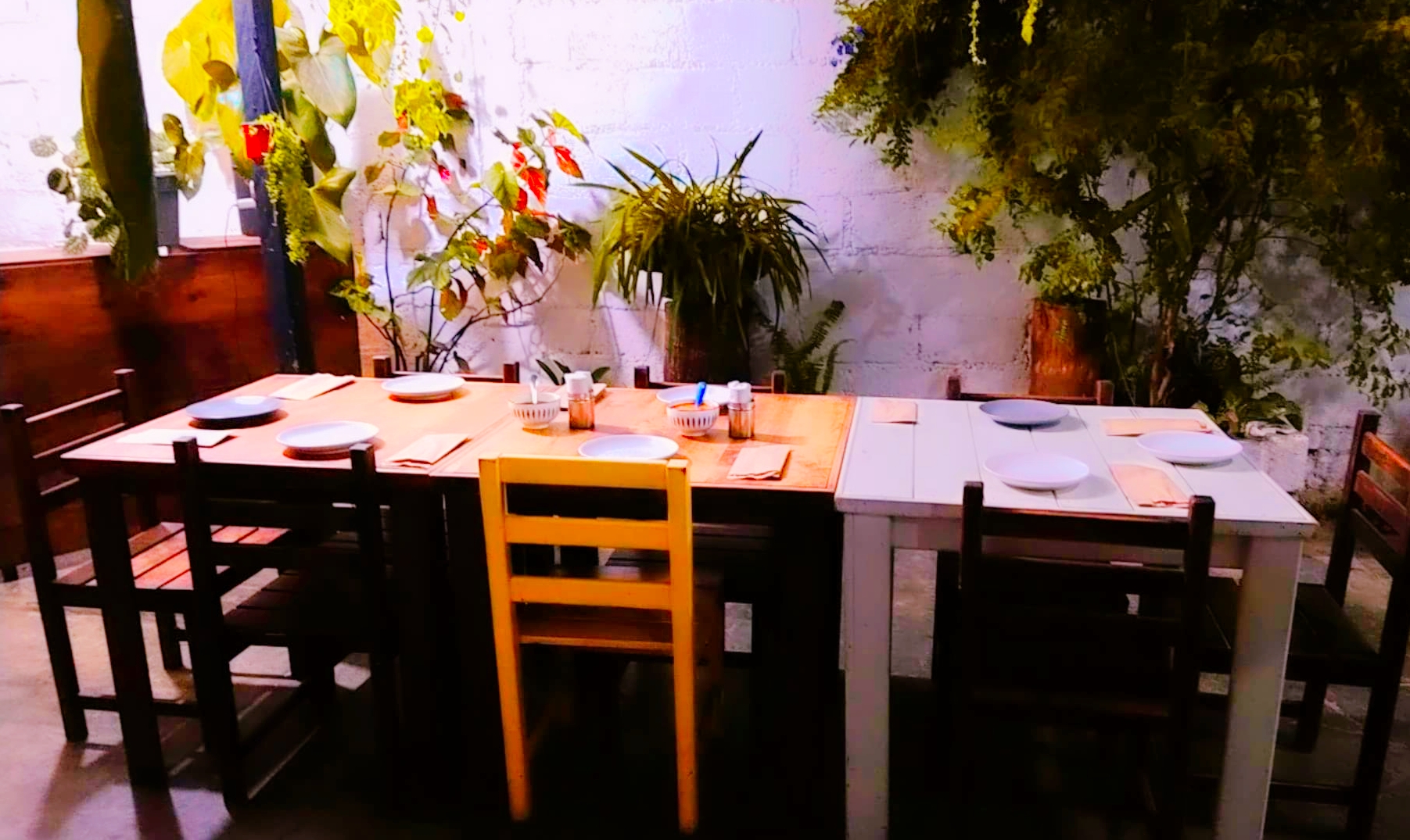 SHALOM Restaurante image 1