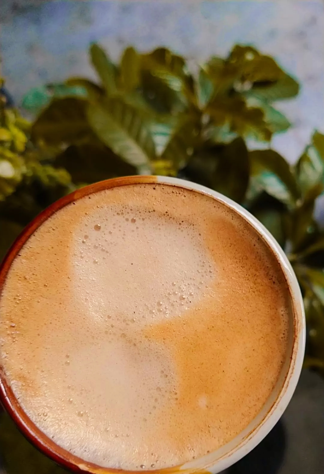 SHALOM Restaurante image 6