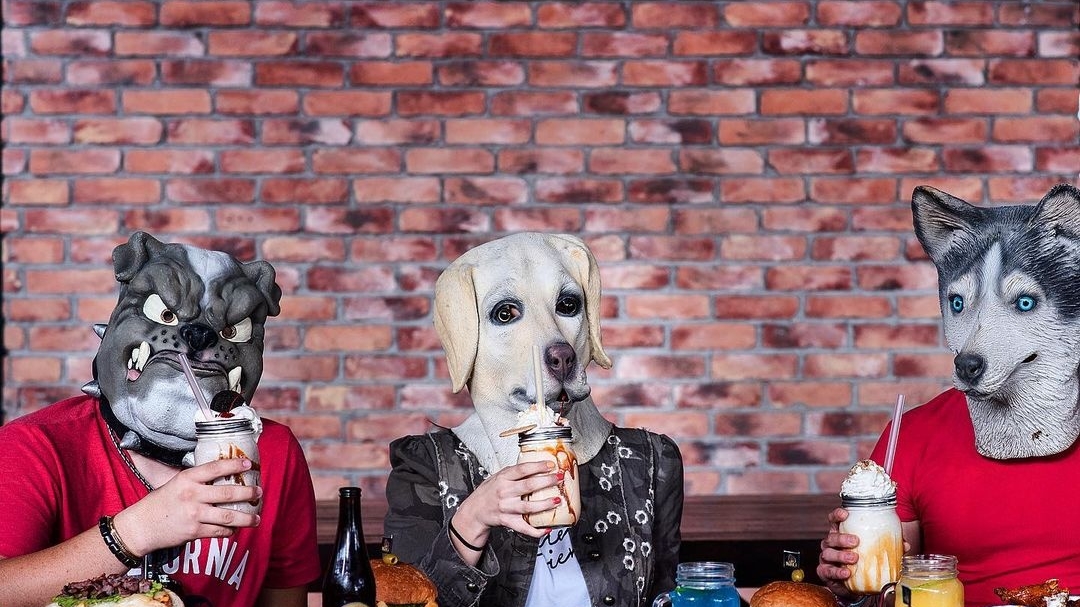 Wild Dog Sonata image 3