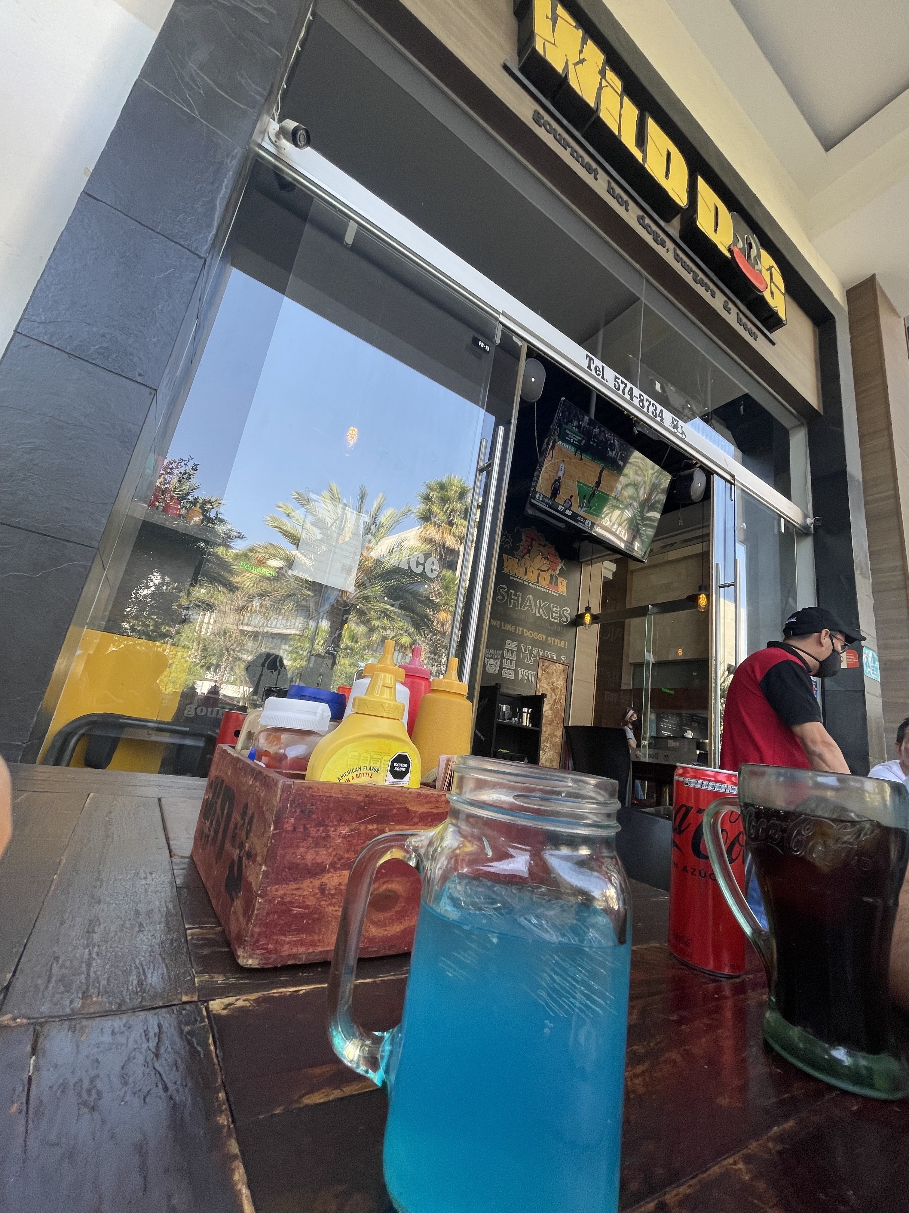 Wild Dog Sonata image 5