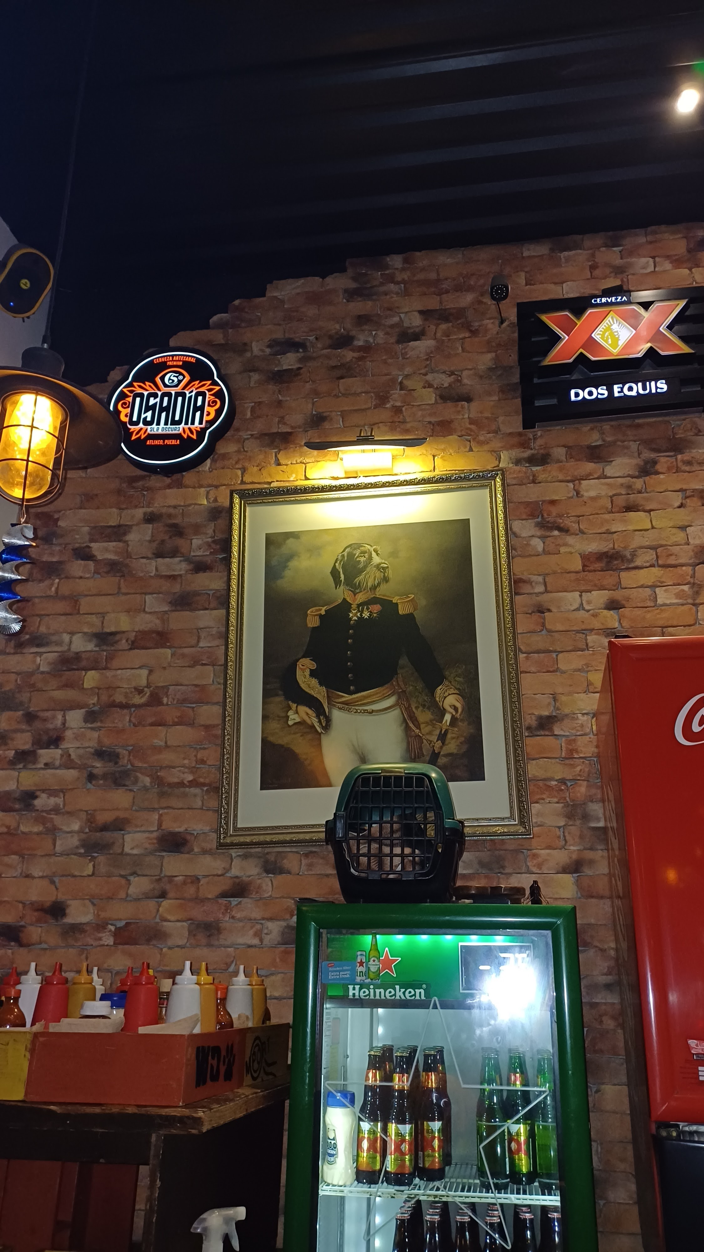 Wild Dog Sonata image 6