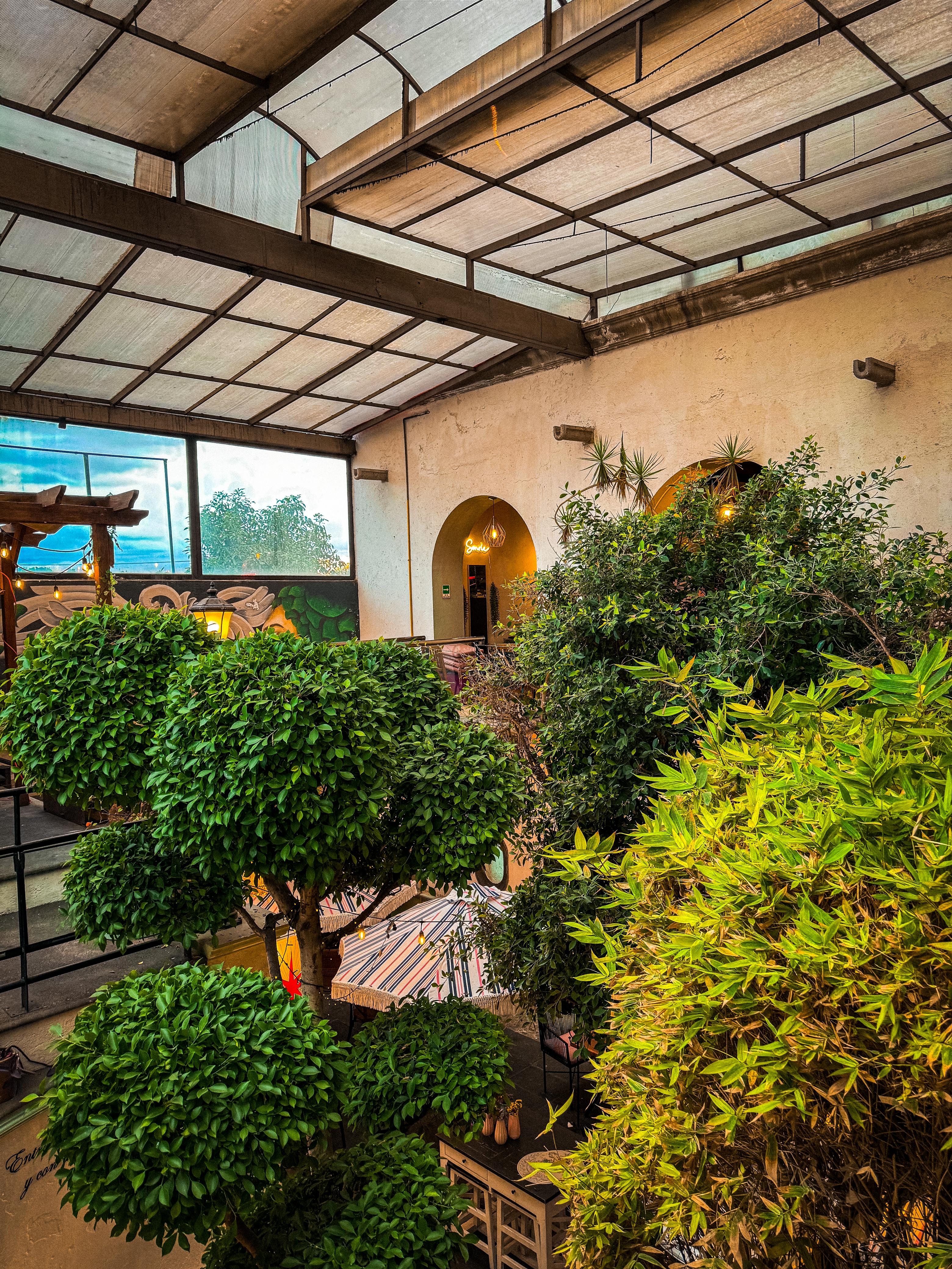 Divará Restaurant Bar image 5