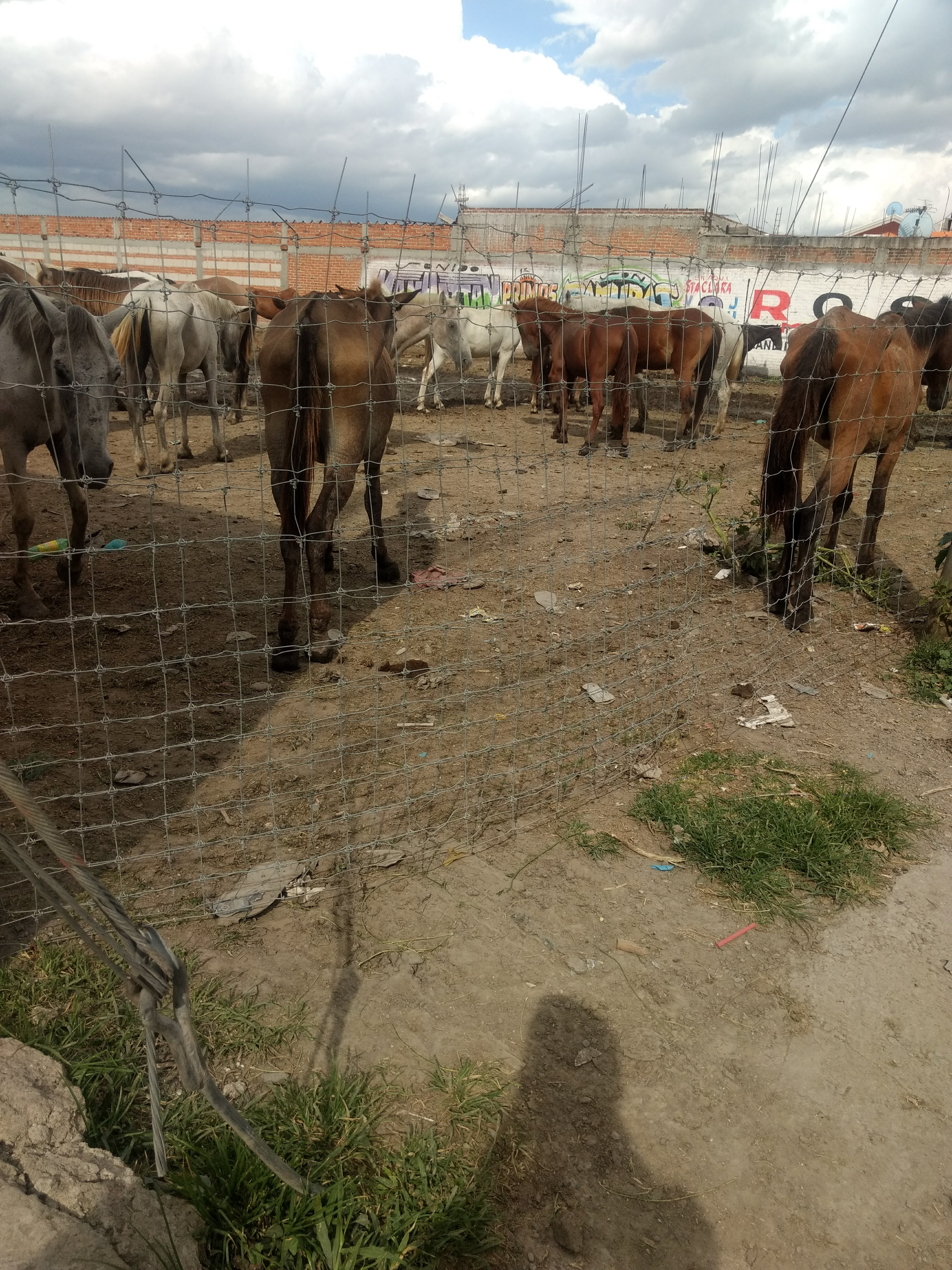 Restaurante Vicky image 5