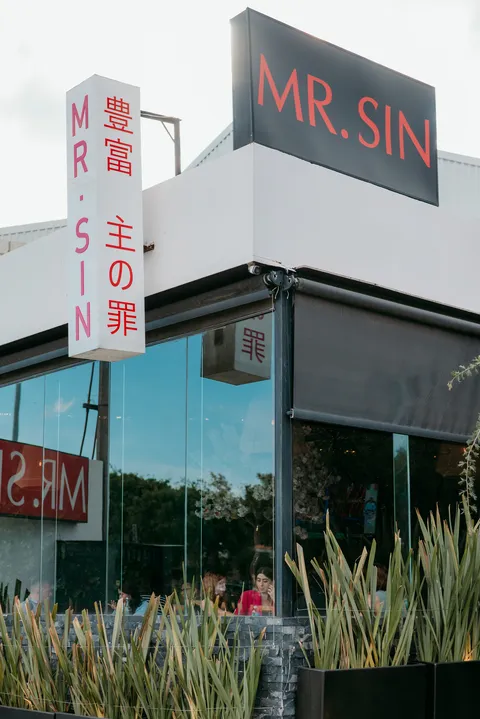 Mr. Sin image 1