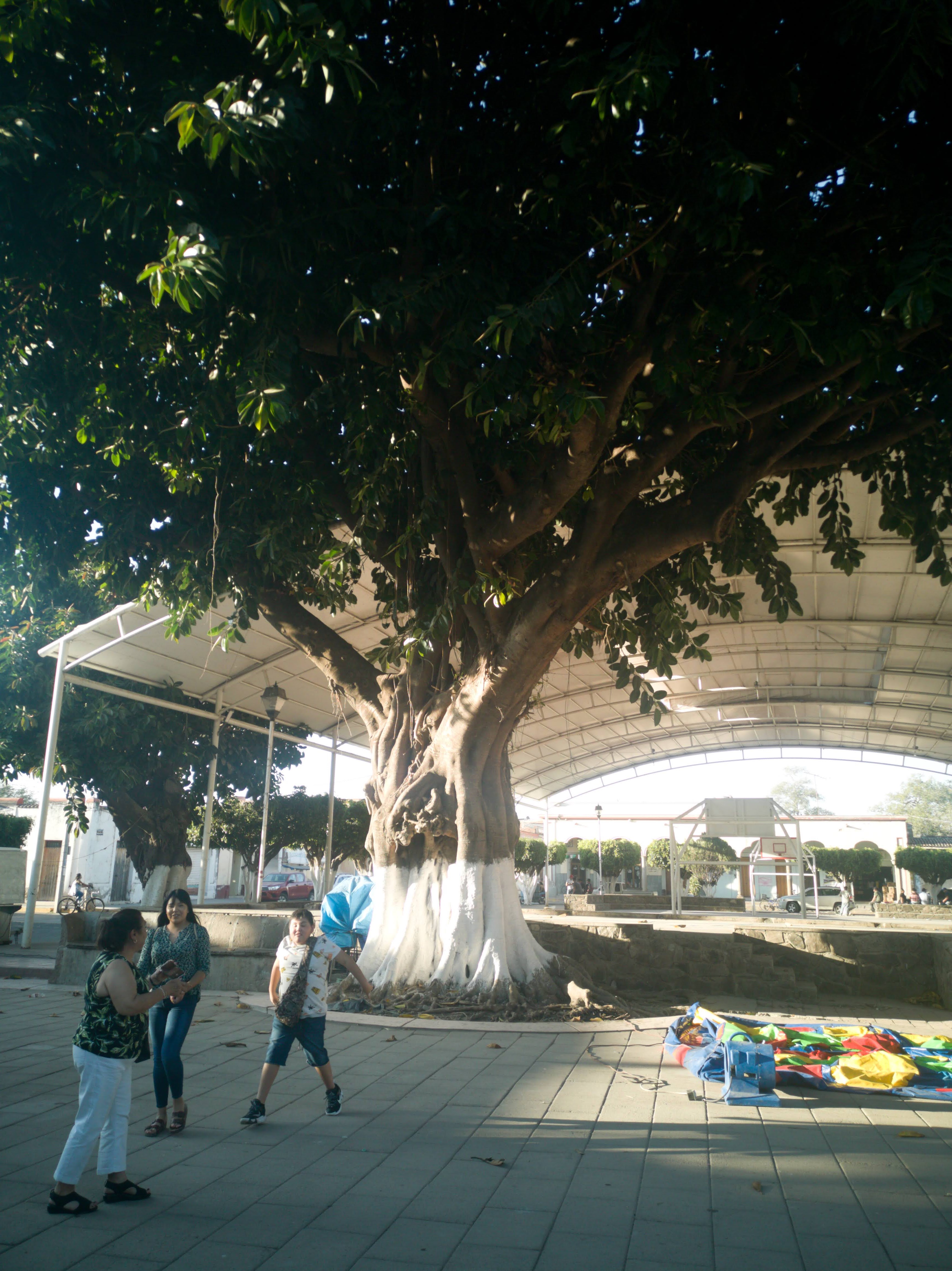 Restaurante Elsa image 3