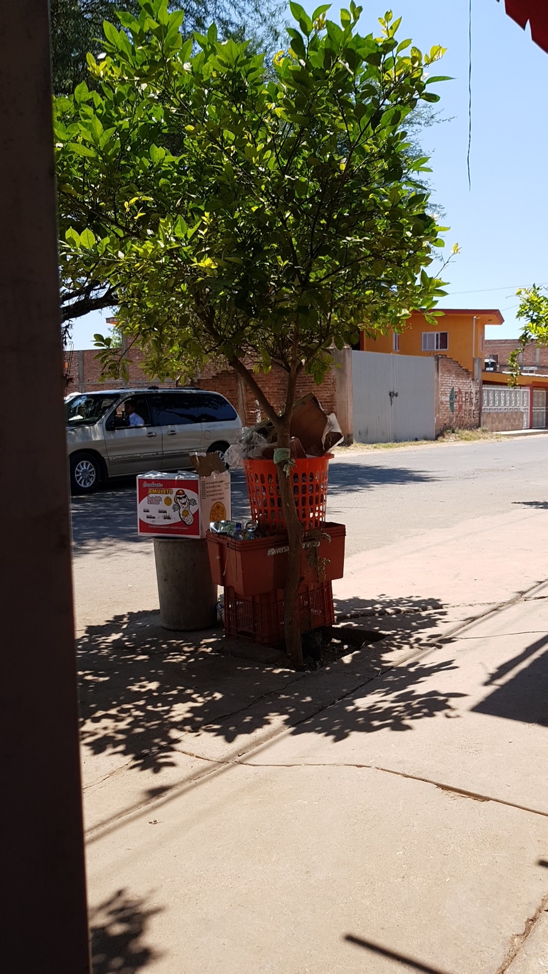 Pollos Asados El Buen Apetito image 6