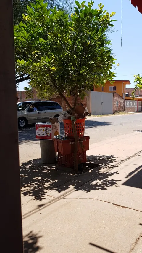 Pollos Asados El Buen Apetito image 6