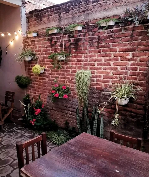 Lodipizza image 1